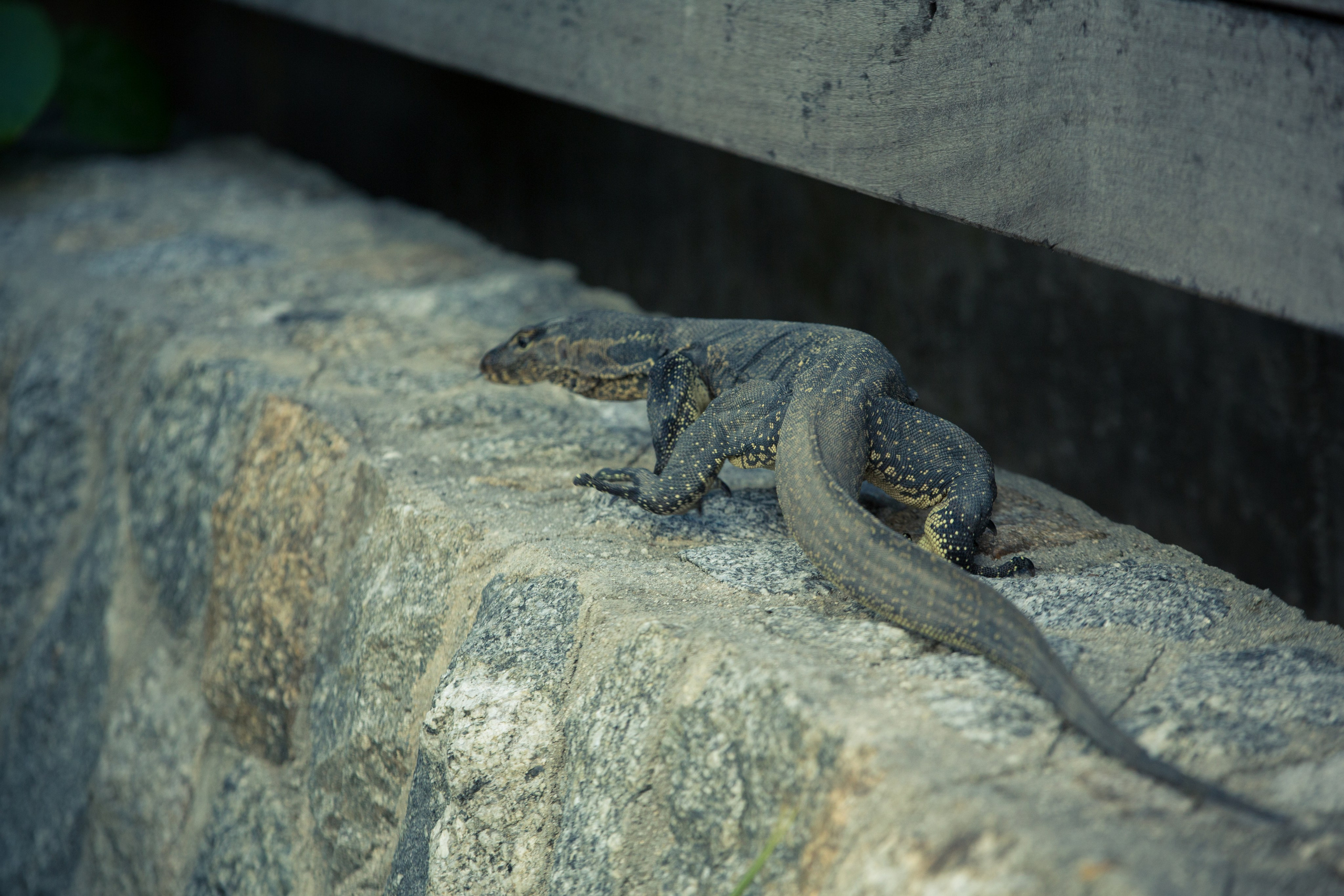Фото Тайланда. Студия Максима Белослюдцева