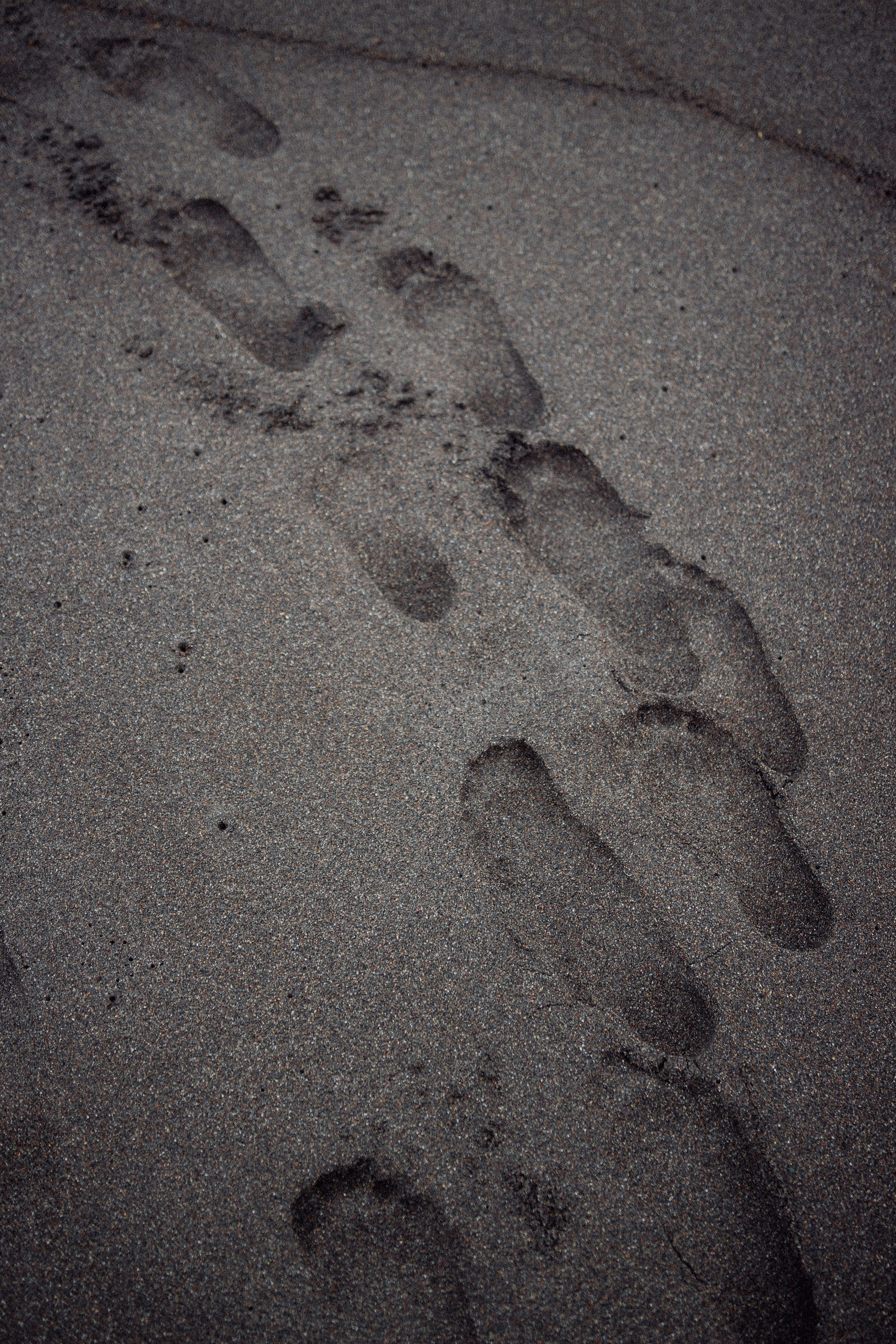 Pacific. Фотограф Даниил Камчатка