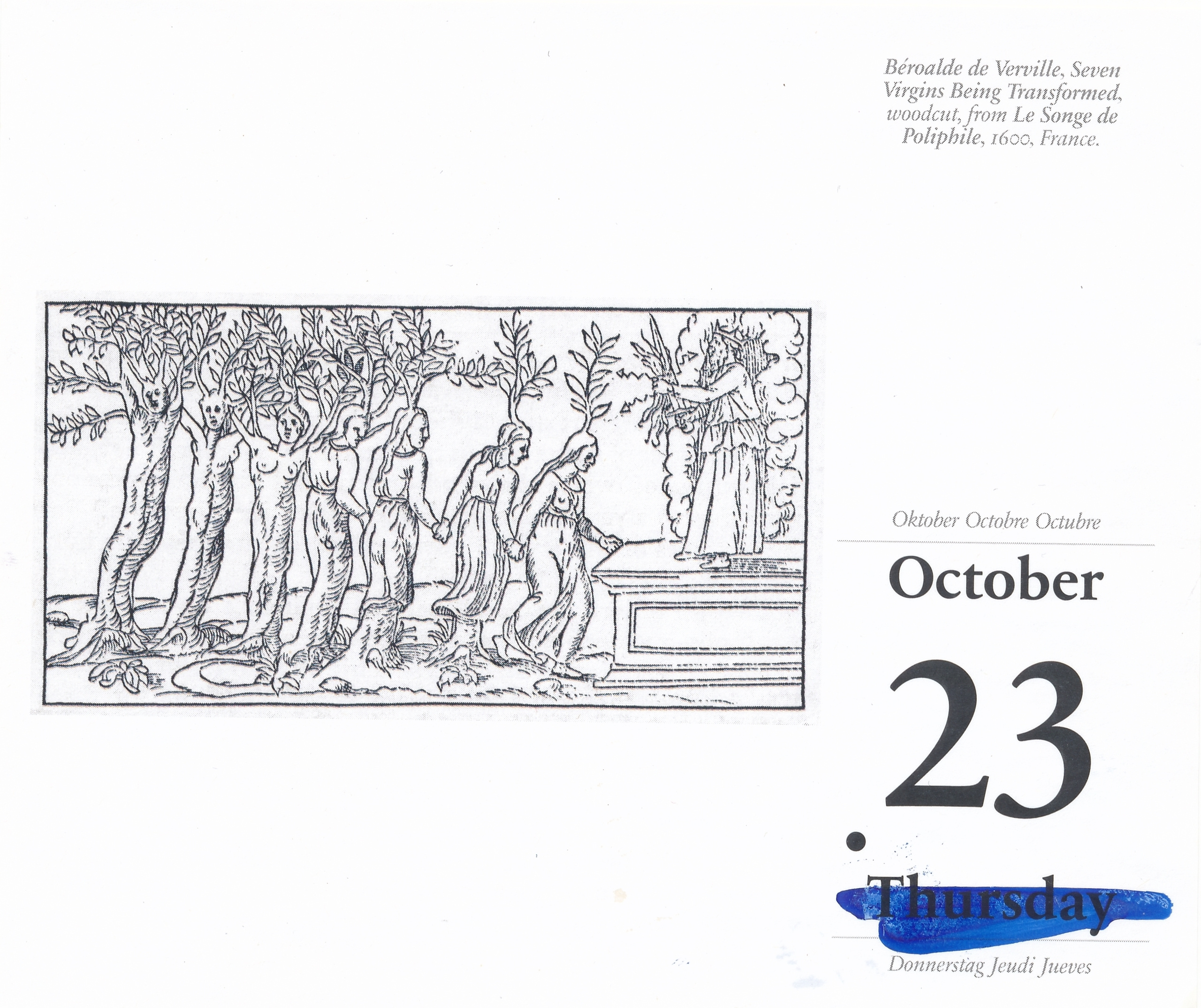 Дневник каньона. Екатерина Васильева художник, куратор и преподаватель