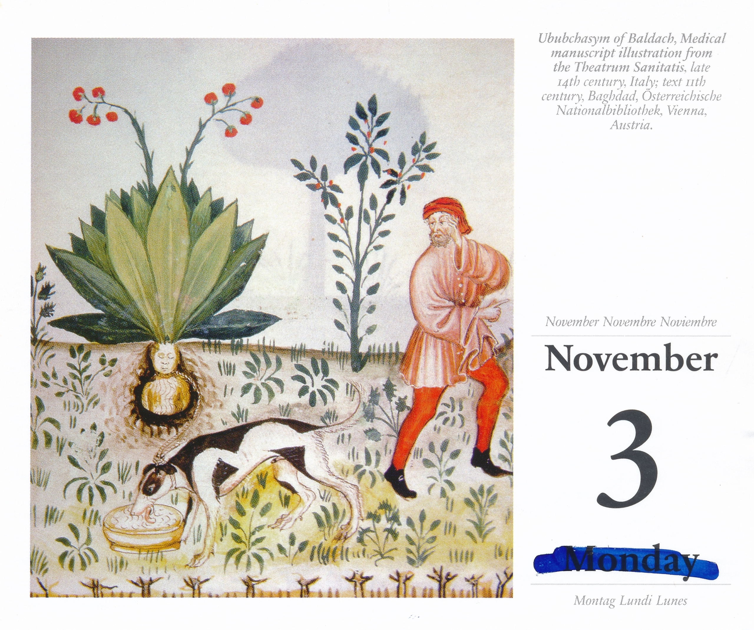 Дневник каньона. Екатерина Васильева художник, куратор и преподаватель