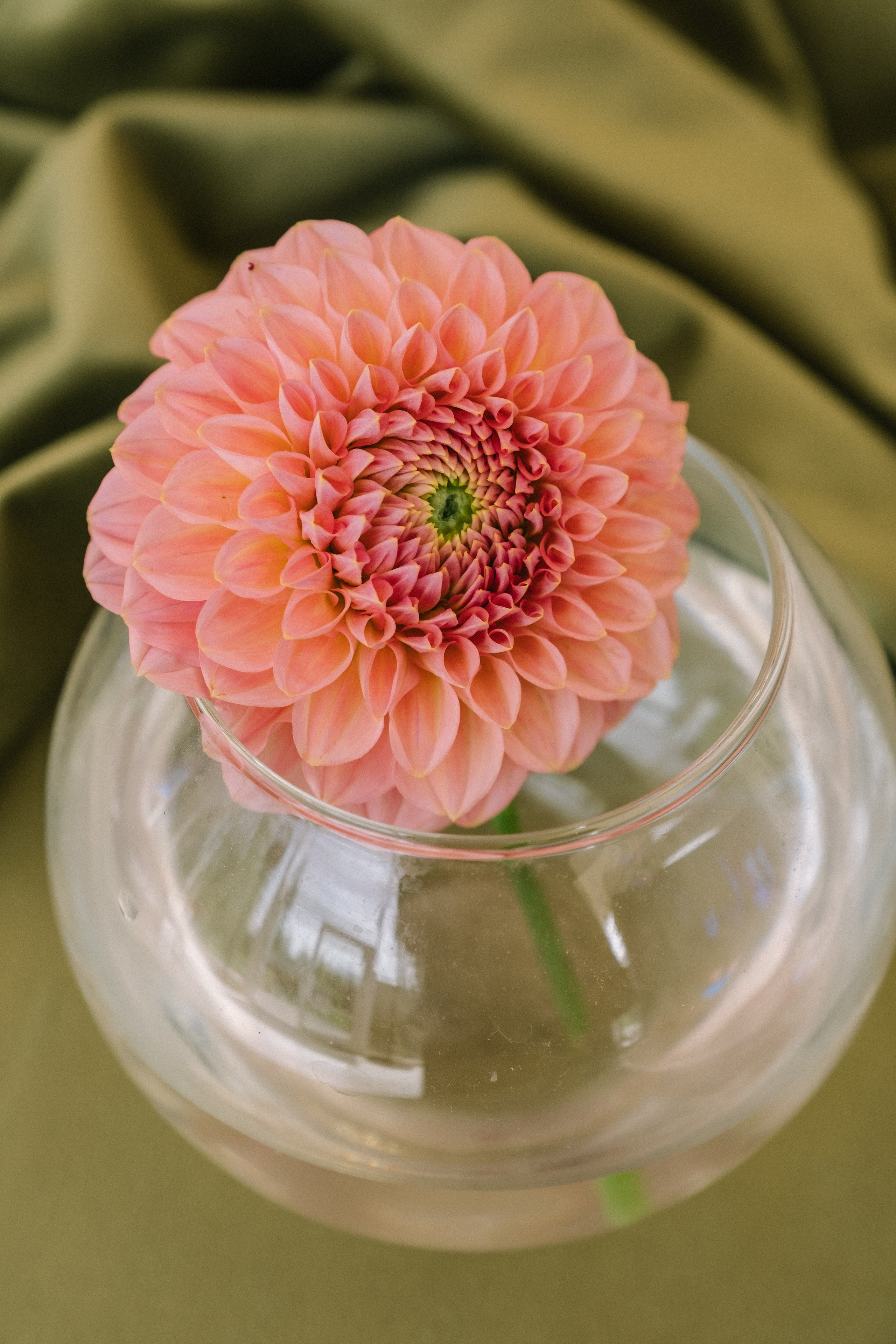 Сирак / Вероника. Свадебный Видеограф Фотограф в Сочи