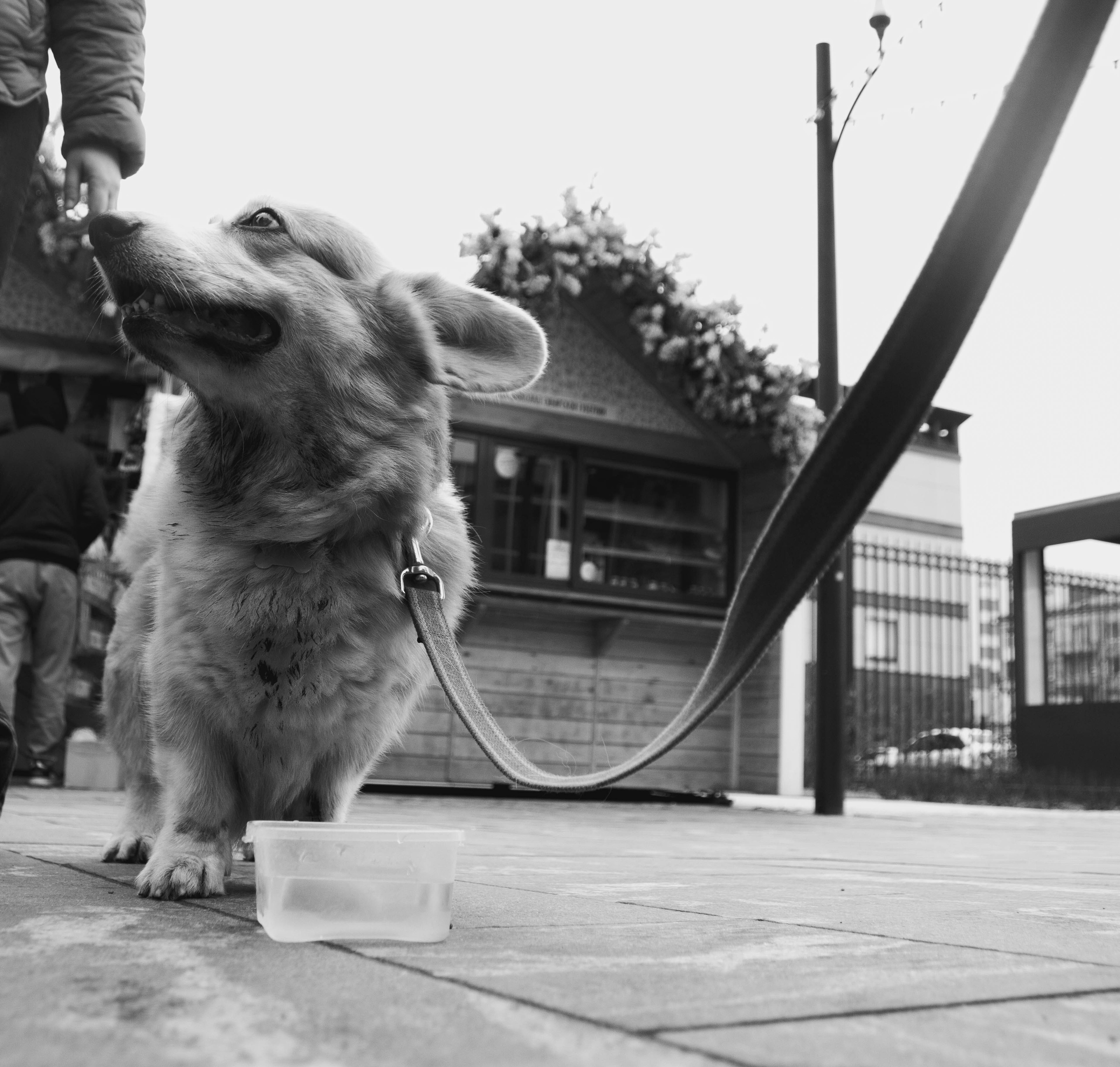 Уличная съемка. Ph | Tyumen