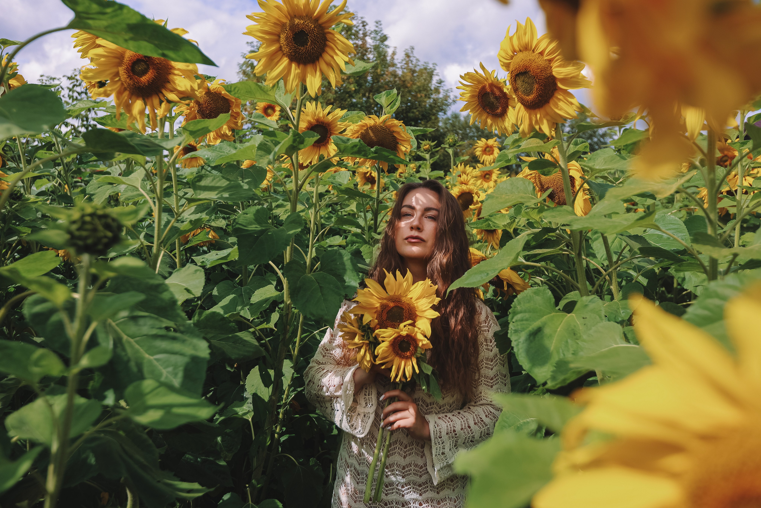 Подсолнухи. Семейный фотограф Тюмень, фотограф на роды Салмина Мария