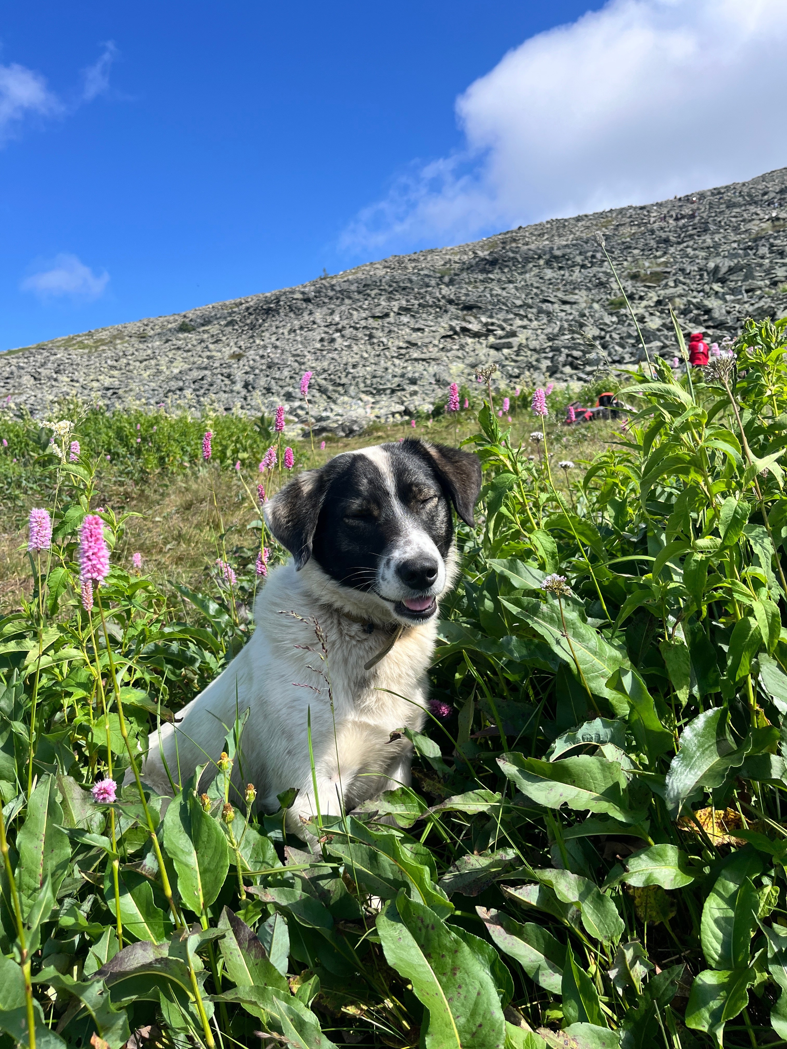 Фот с походов на Иремель — Время приключений