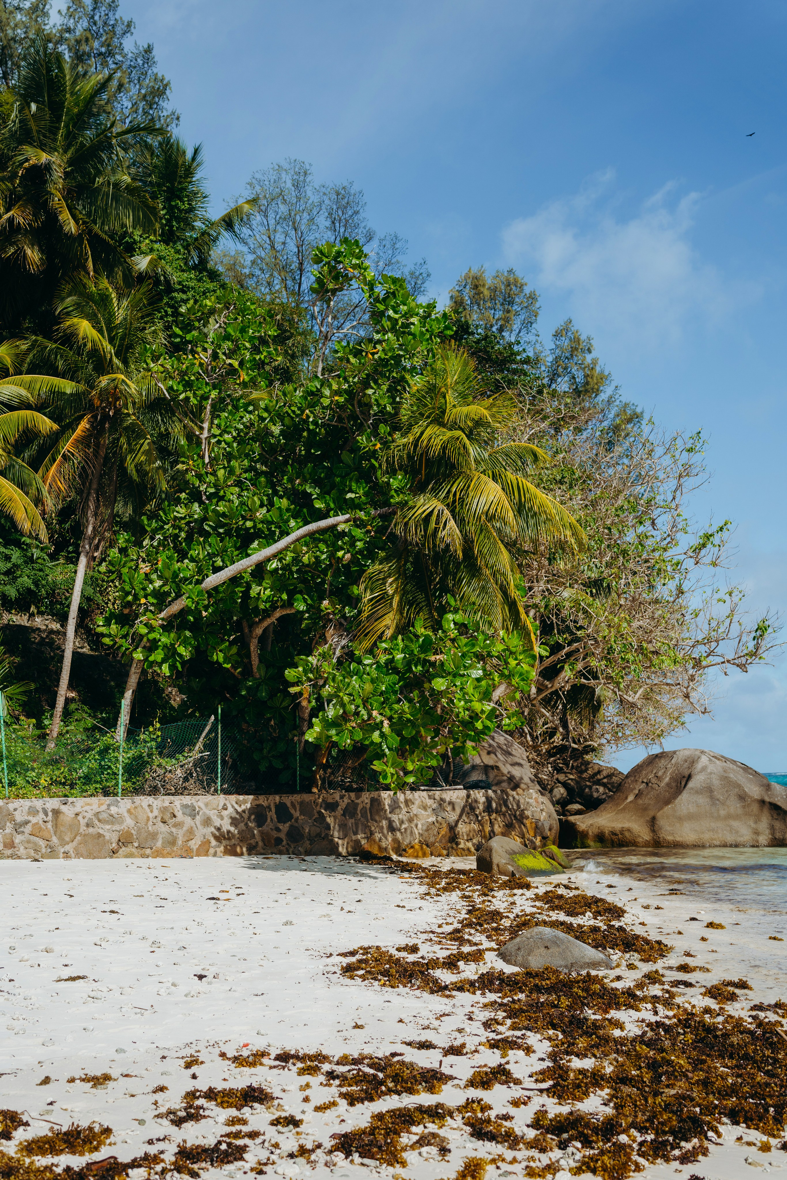 Выезд Домашнего Сейшелы 05.11.2024-07.11.2024. EVEREST PHOTO REPORT