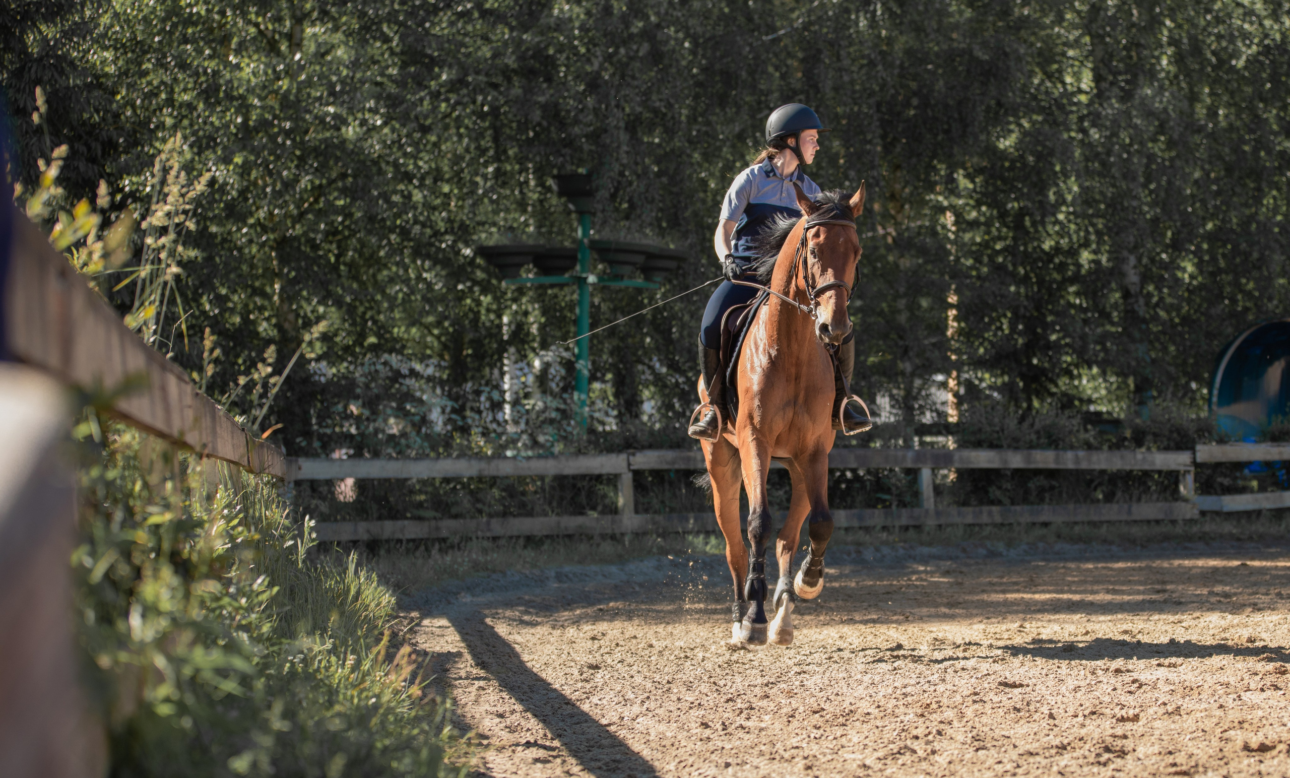 Репортажная съёмка спортивных мероприятий. ESHE_PHOTO Фотограф анималист в Москве и Московской области