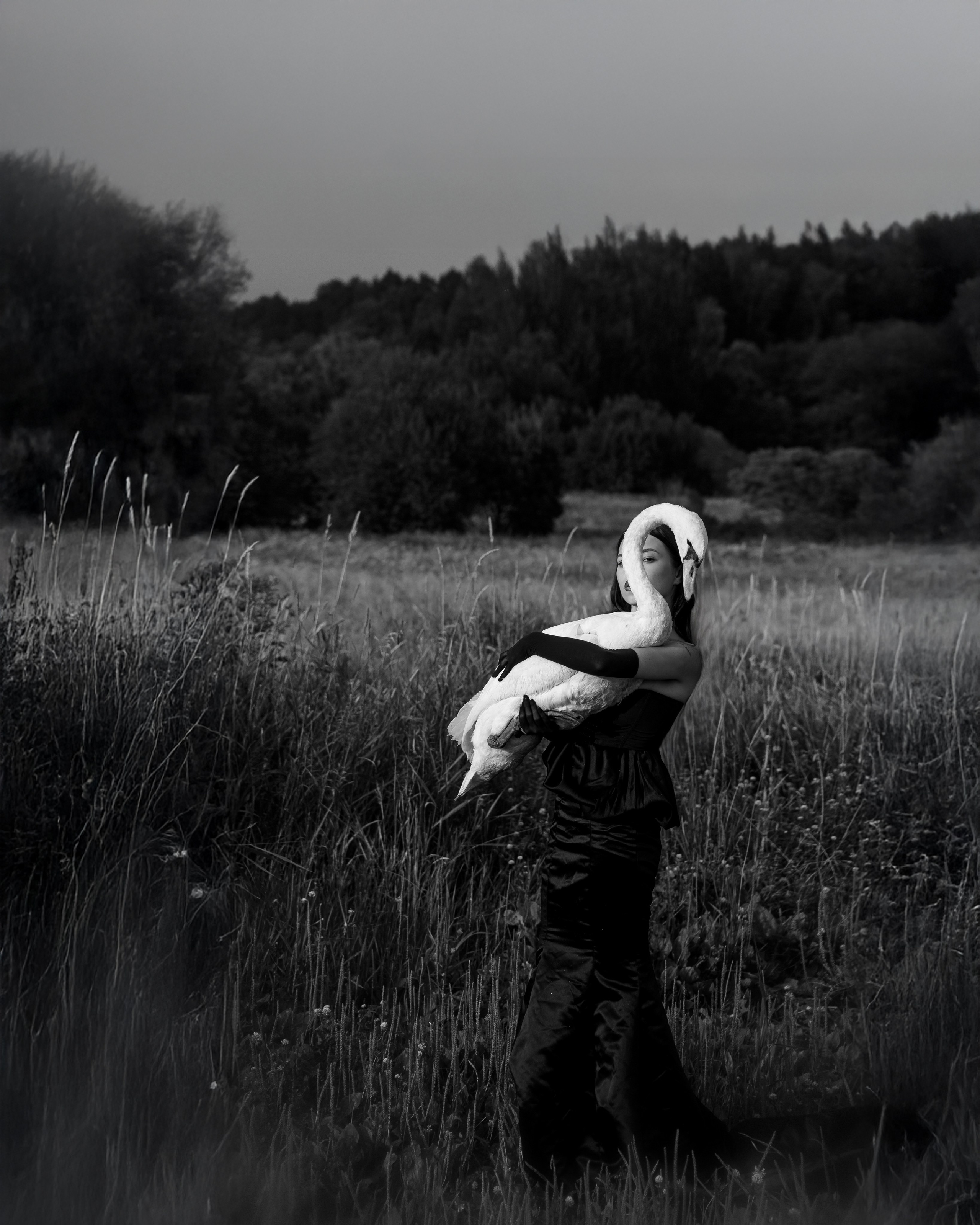 Лебеди. Свадебный фотограф Воронеж Москва СПБ