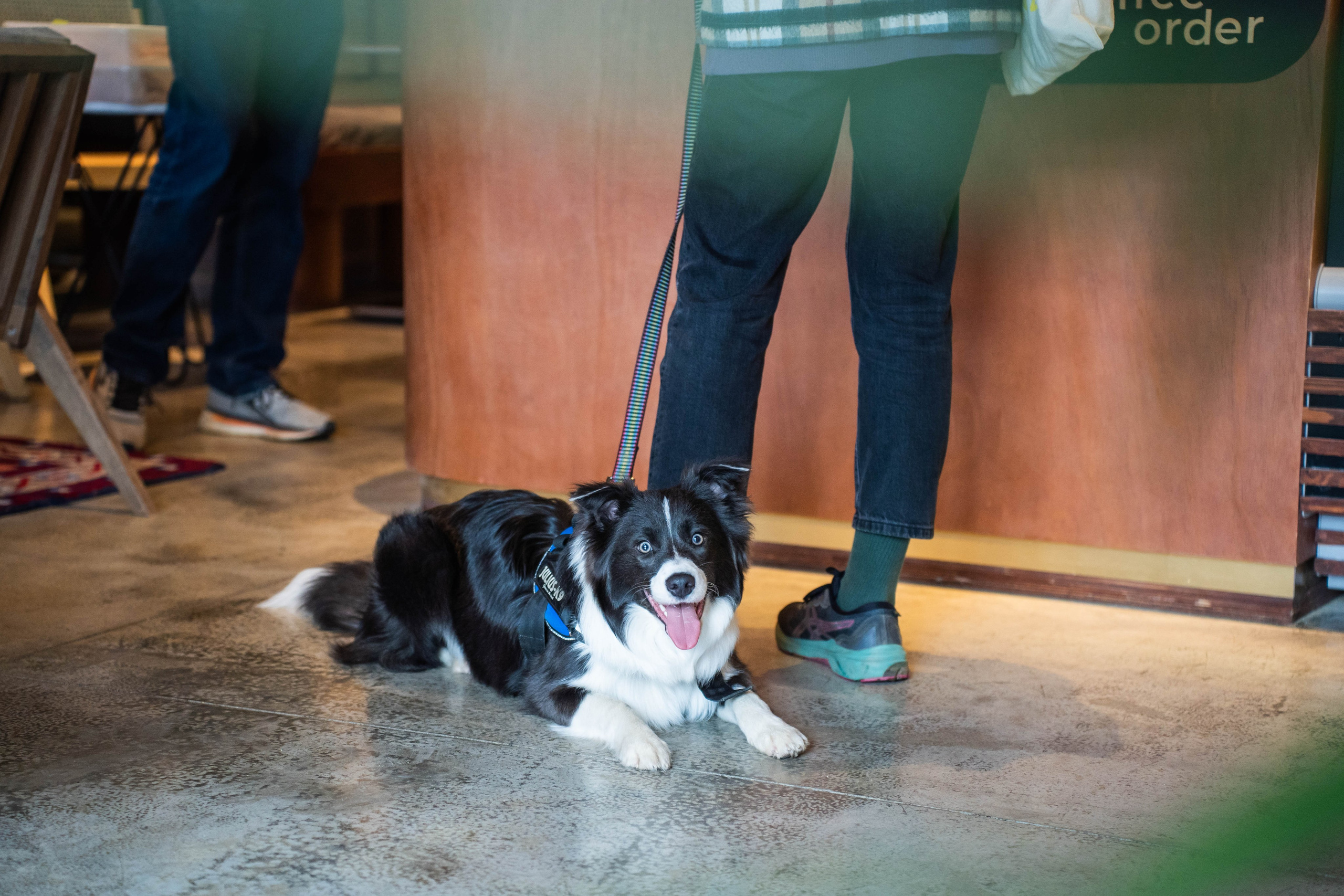 SURF COFFEE| DAY. Фотограф Абакумова Анастасия