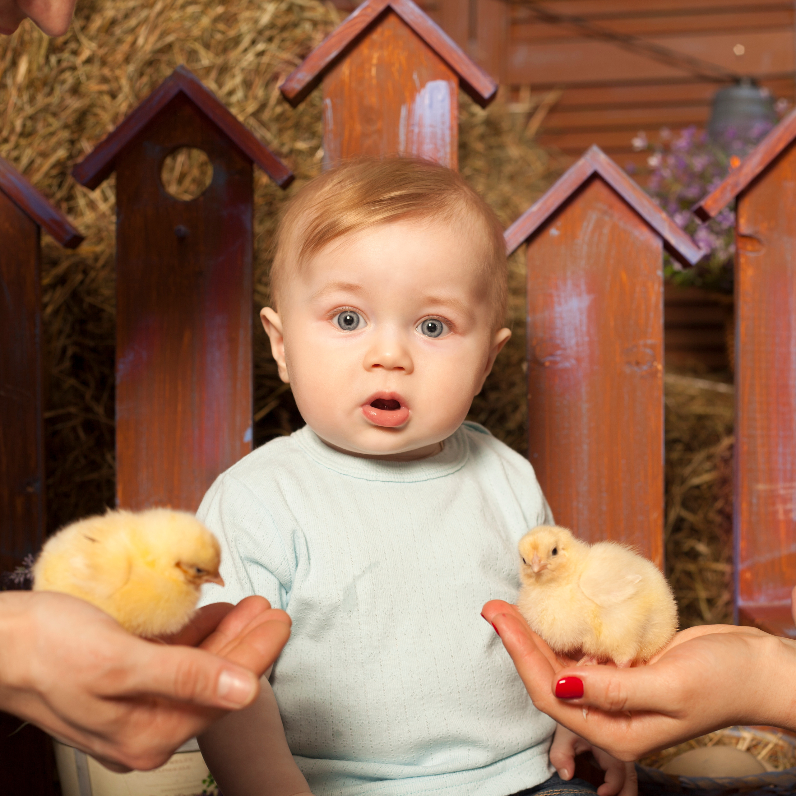 Семья. Фотограф Алёна Потёмкина