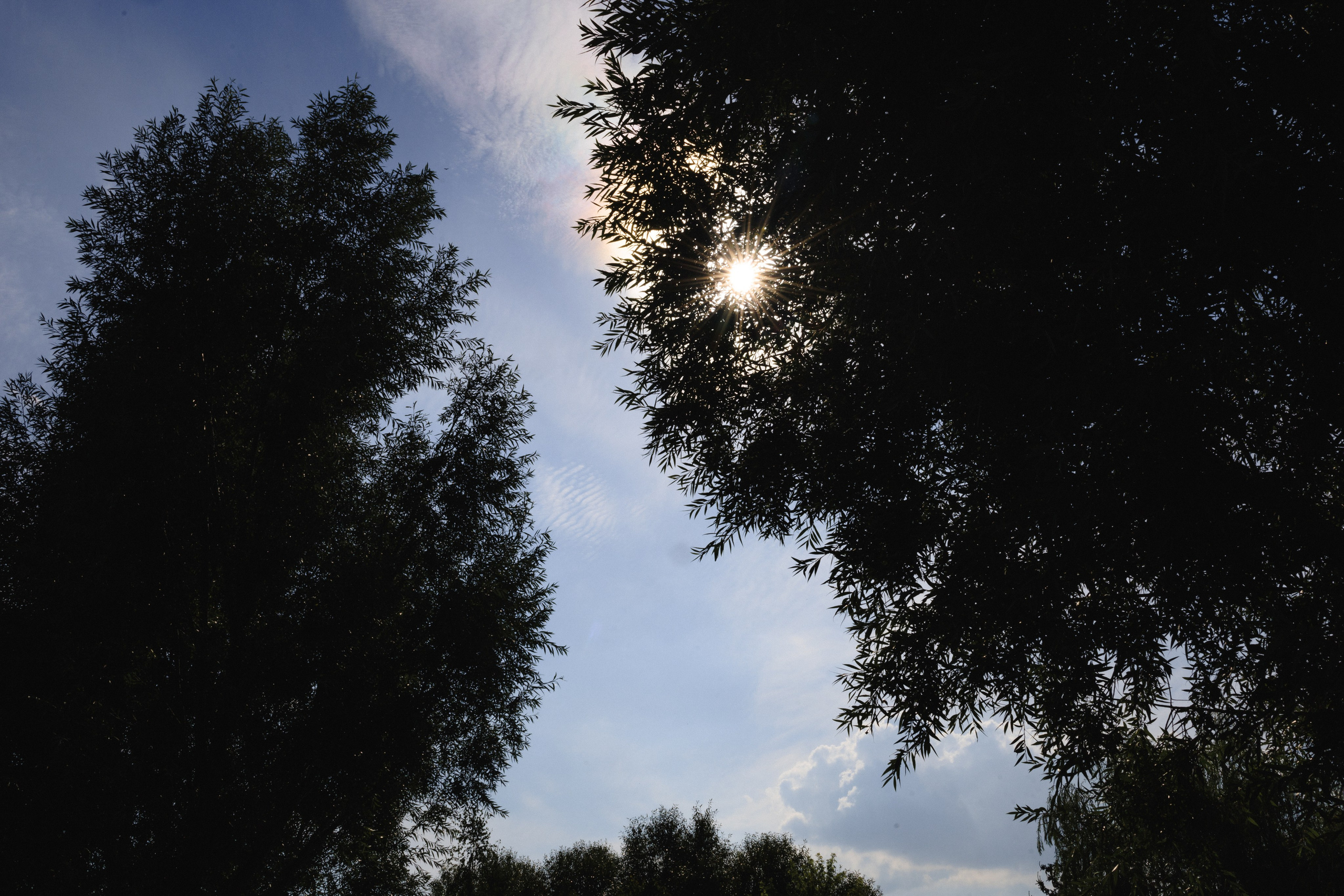 Петя & Полина | VILLA CHIKI. Свадебный фотограф в Минске Владислав Бабич