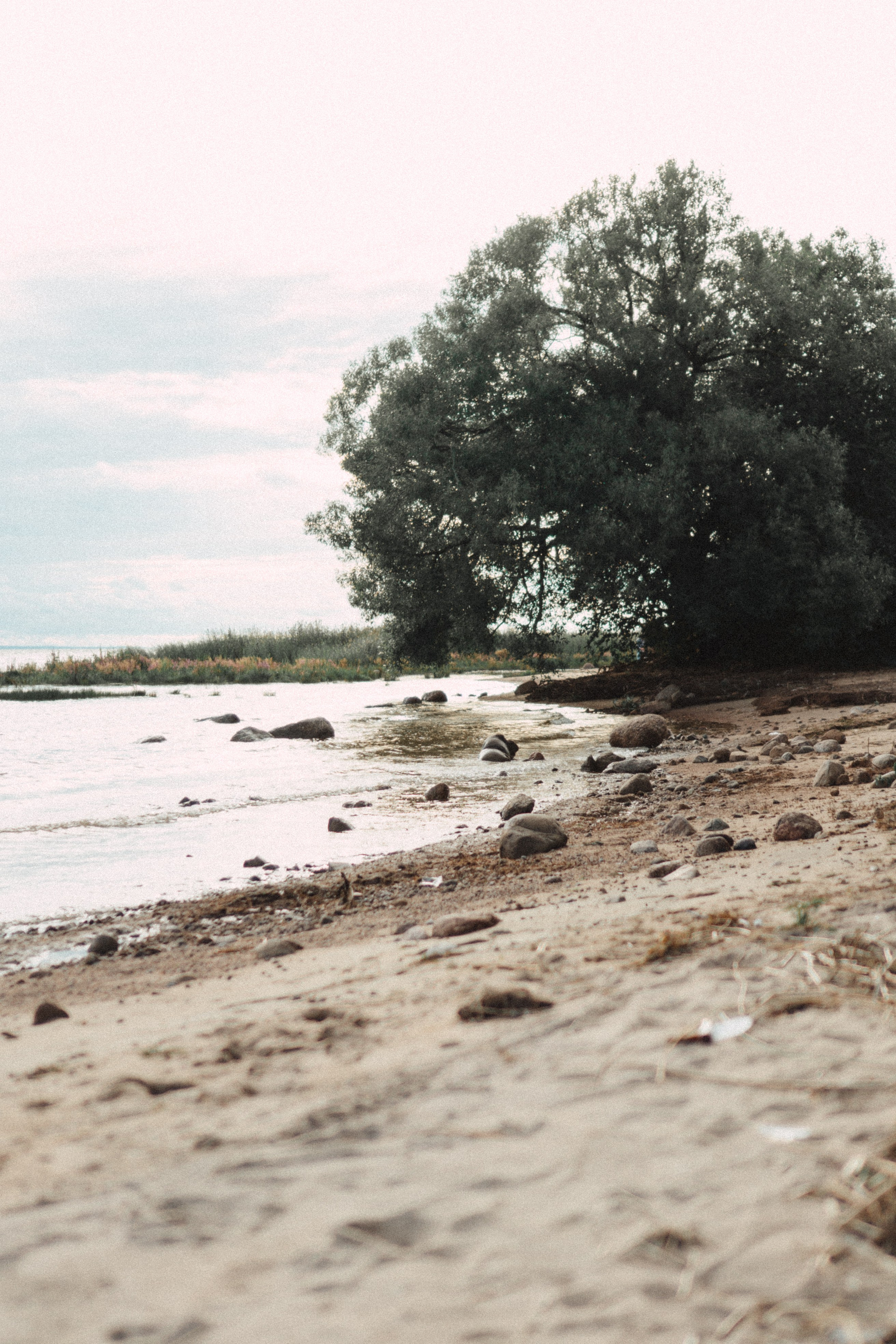МАМА И ДОЧКА НА ФИНСКОМ ЗАЛИВЕ. Профессиональный фотограф, Санкт-Петербург — Виктория Богомолова