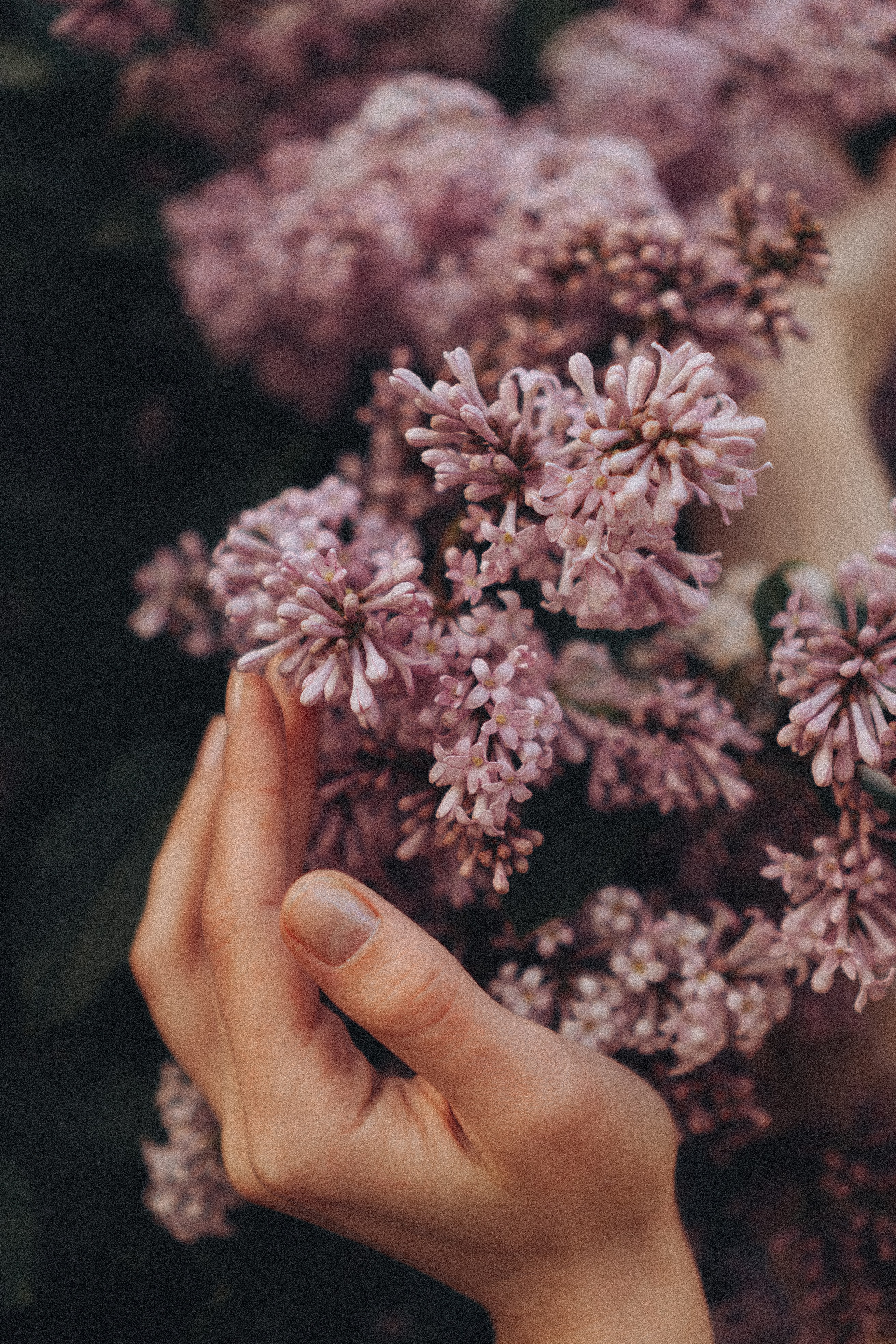 Весна. Профессиональный фотограф, Санкт-Петербург — Виктория Богомолова