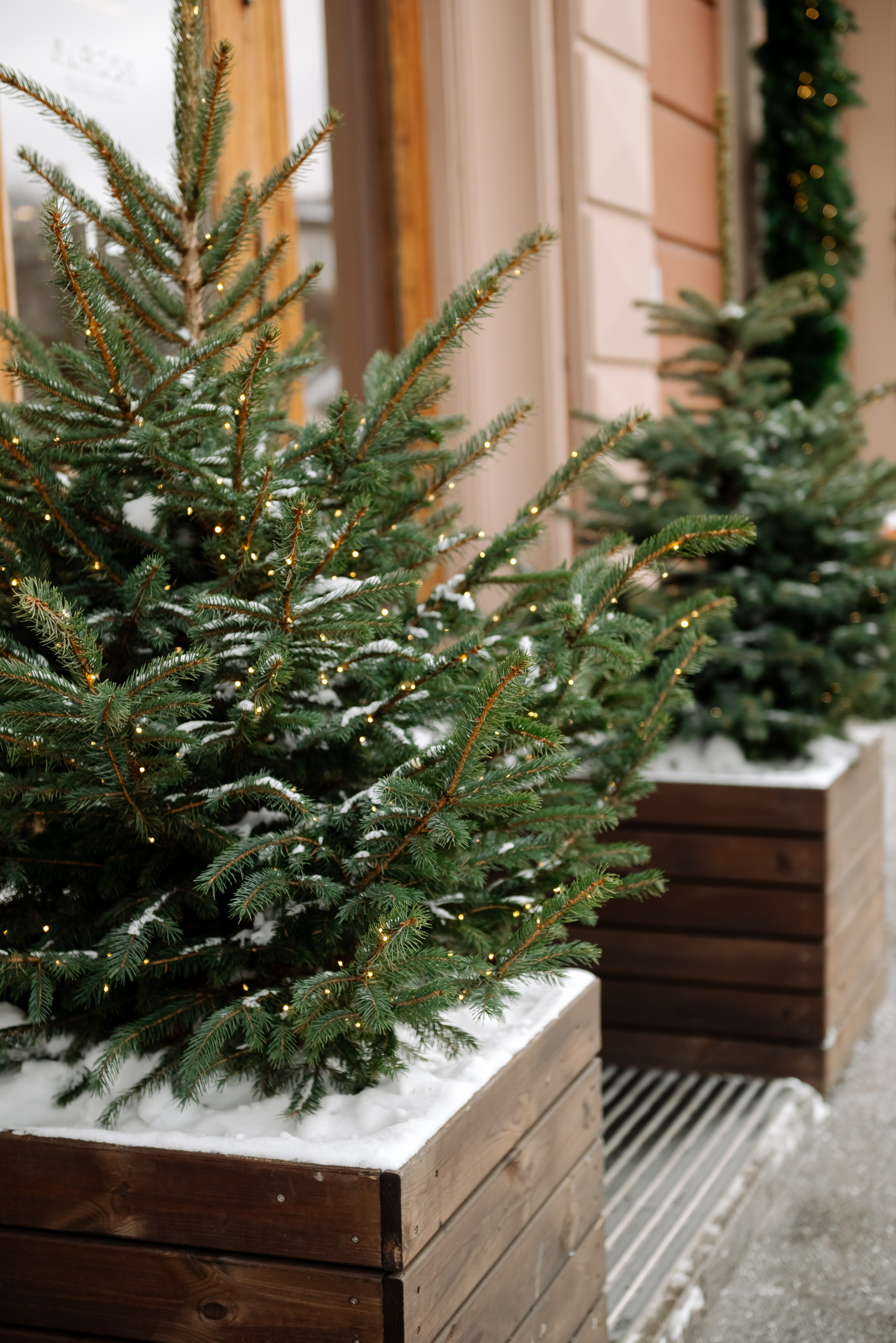 Мария и Дочка. Свадебный и сеейный фотограф в Санкт-Петербурге Елена Худякова