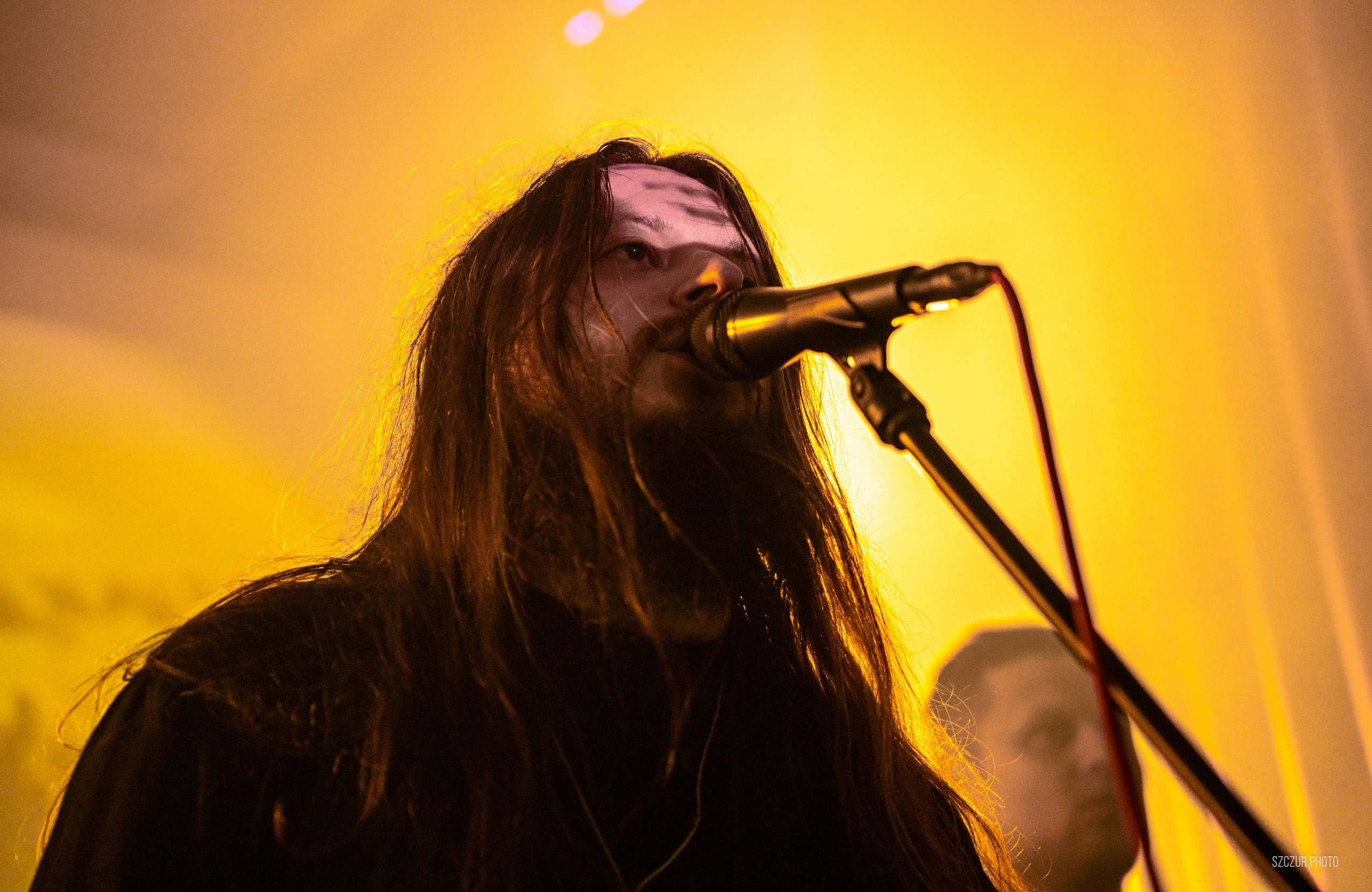 ИЛ в Эклипсе 17.01.25. Szczur photo