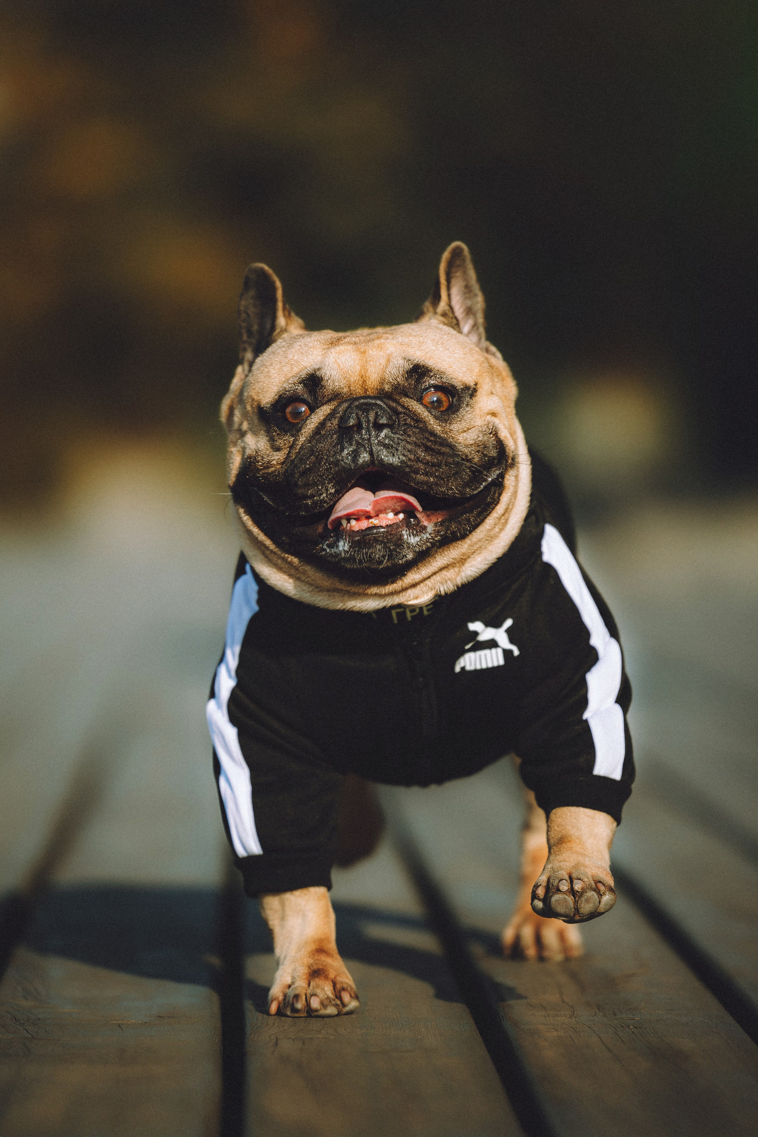 Настя, Женя и Хонор