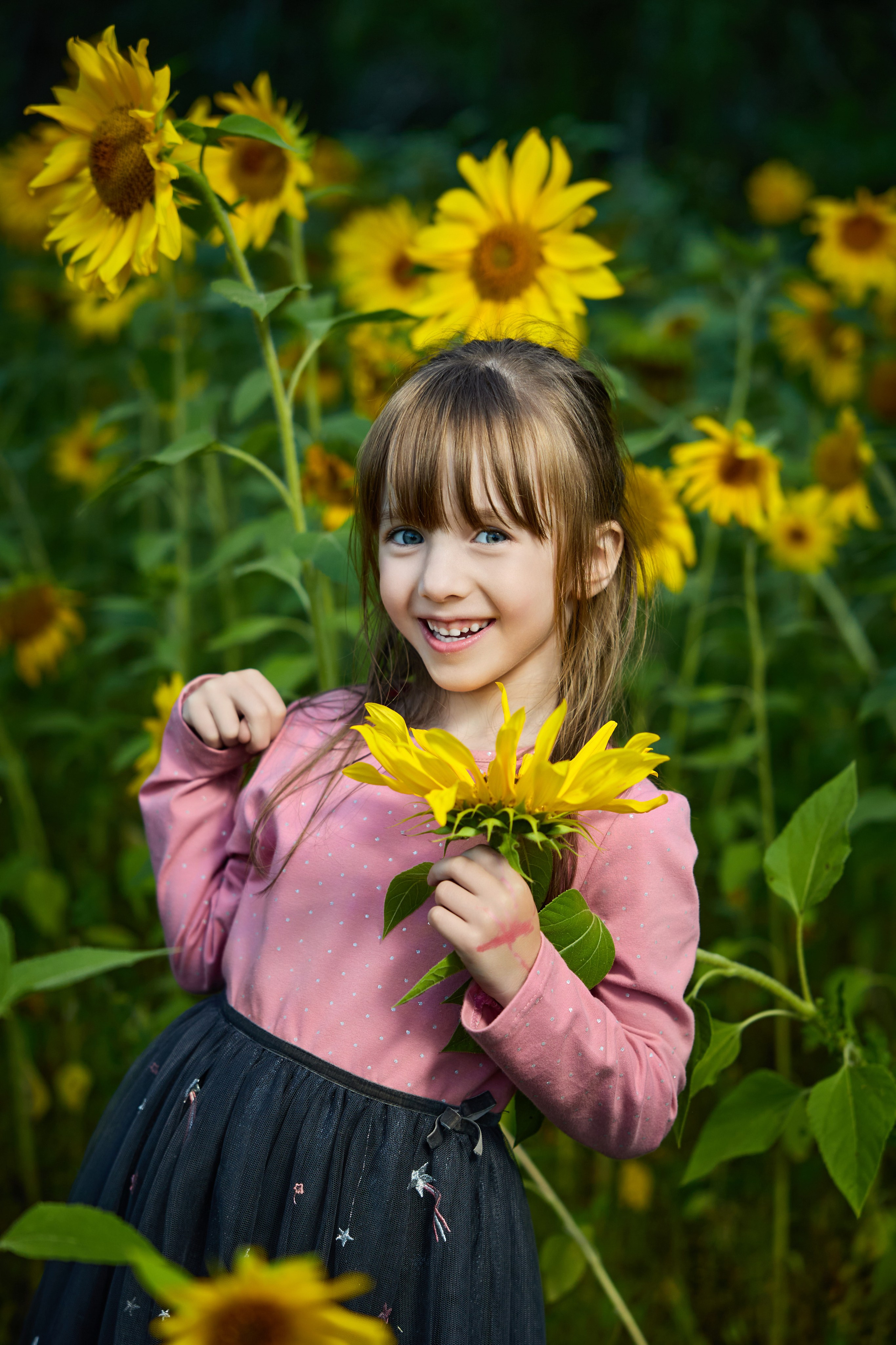 Подсолнухи. Разножанровый Фотограф в Омске Артём Руднев