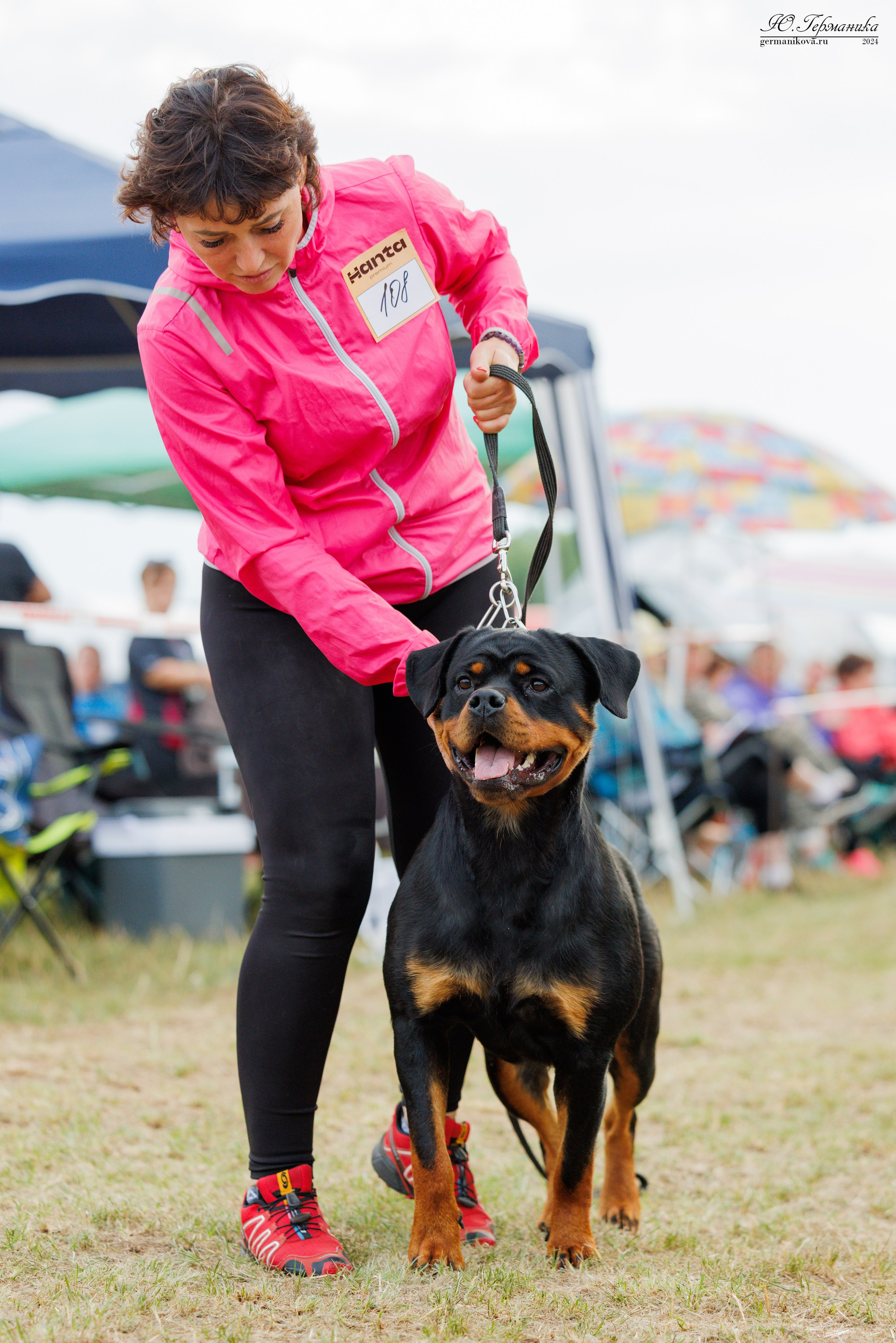 ПК и КЧК ротвейлеры Тверь 6-7.07.2024. Фотограф-анималист Юлия Германика