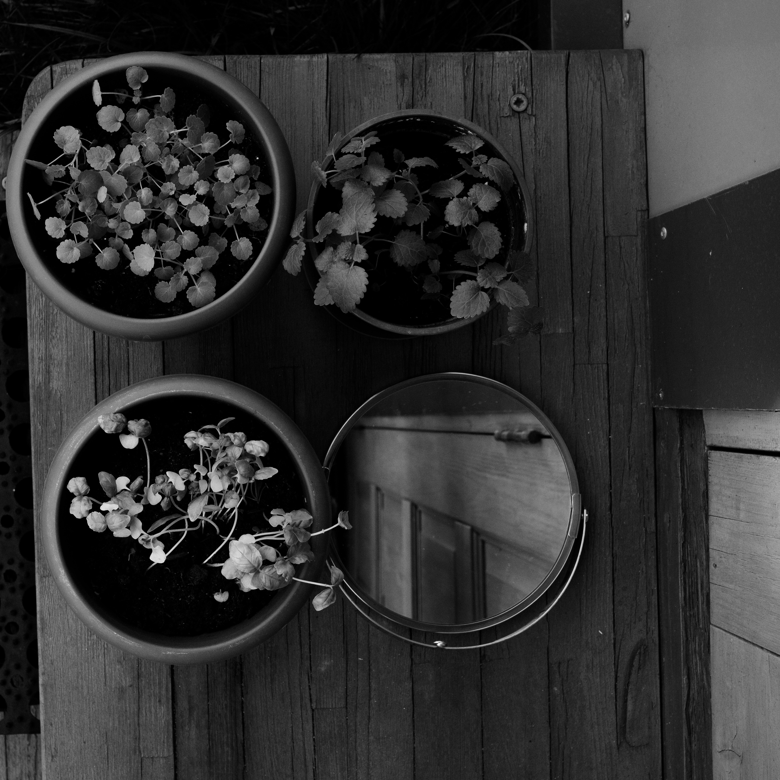 Тени. Портретный фотограф в Москве Евгения Яковенко