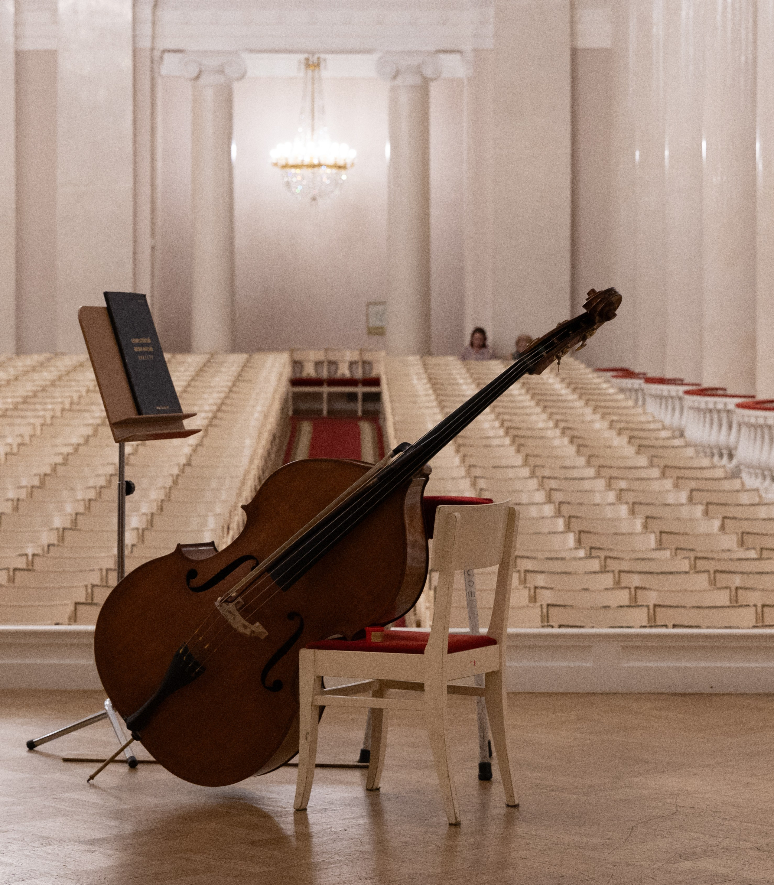 Сестра печали. Большой зал Филармонии. Адмиралтейский оркестр. Фотограф Твердохлебова Дарья, г. Санкт-Петербург