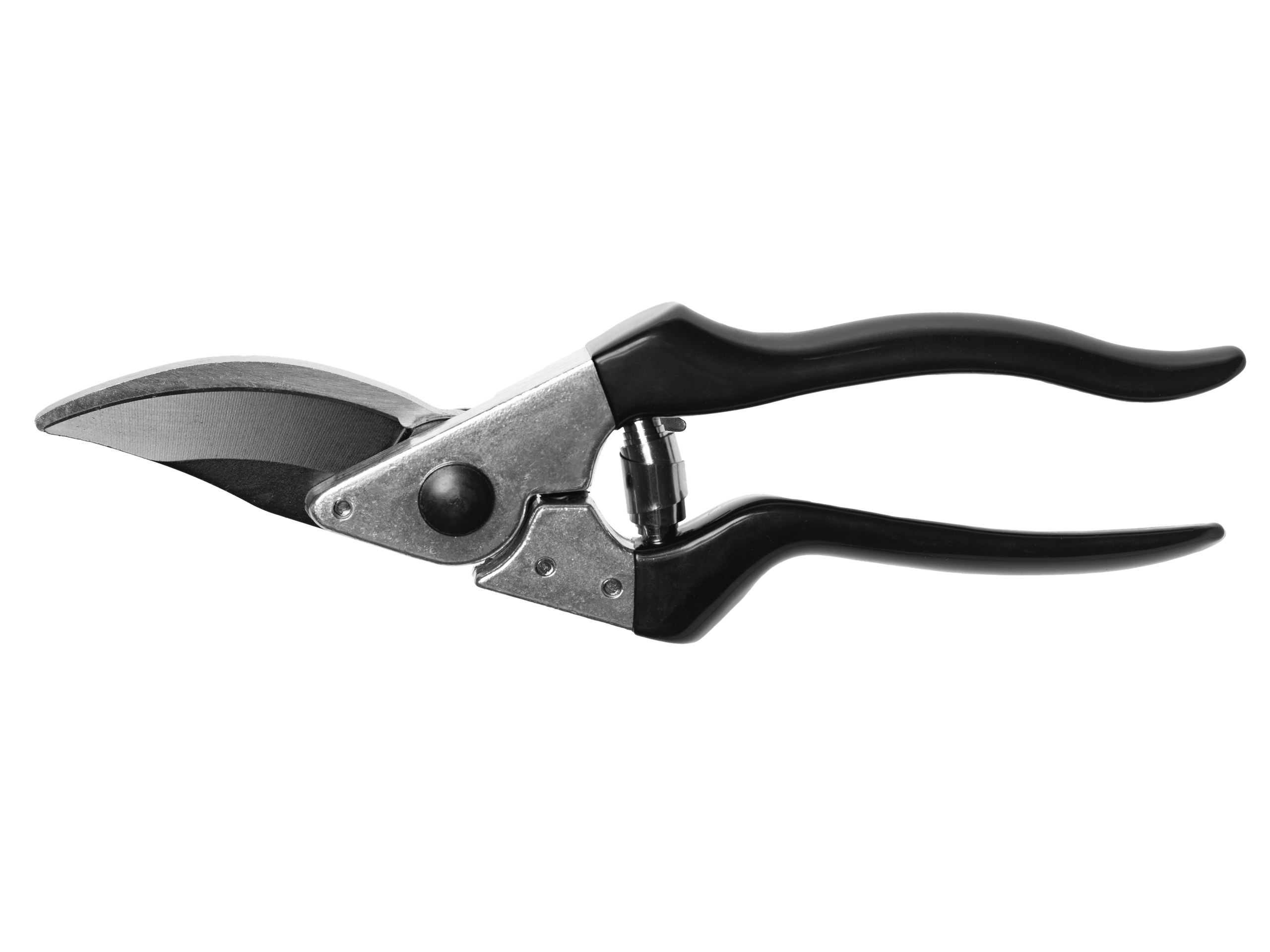 Изоляты. Фотограф в Москве Дмитровская Дарья