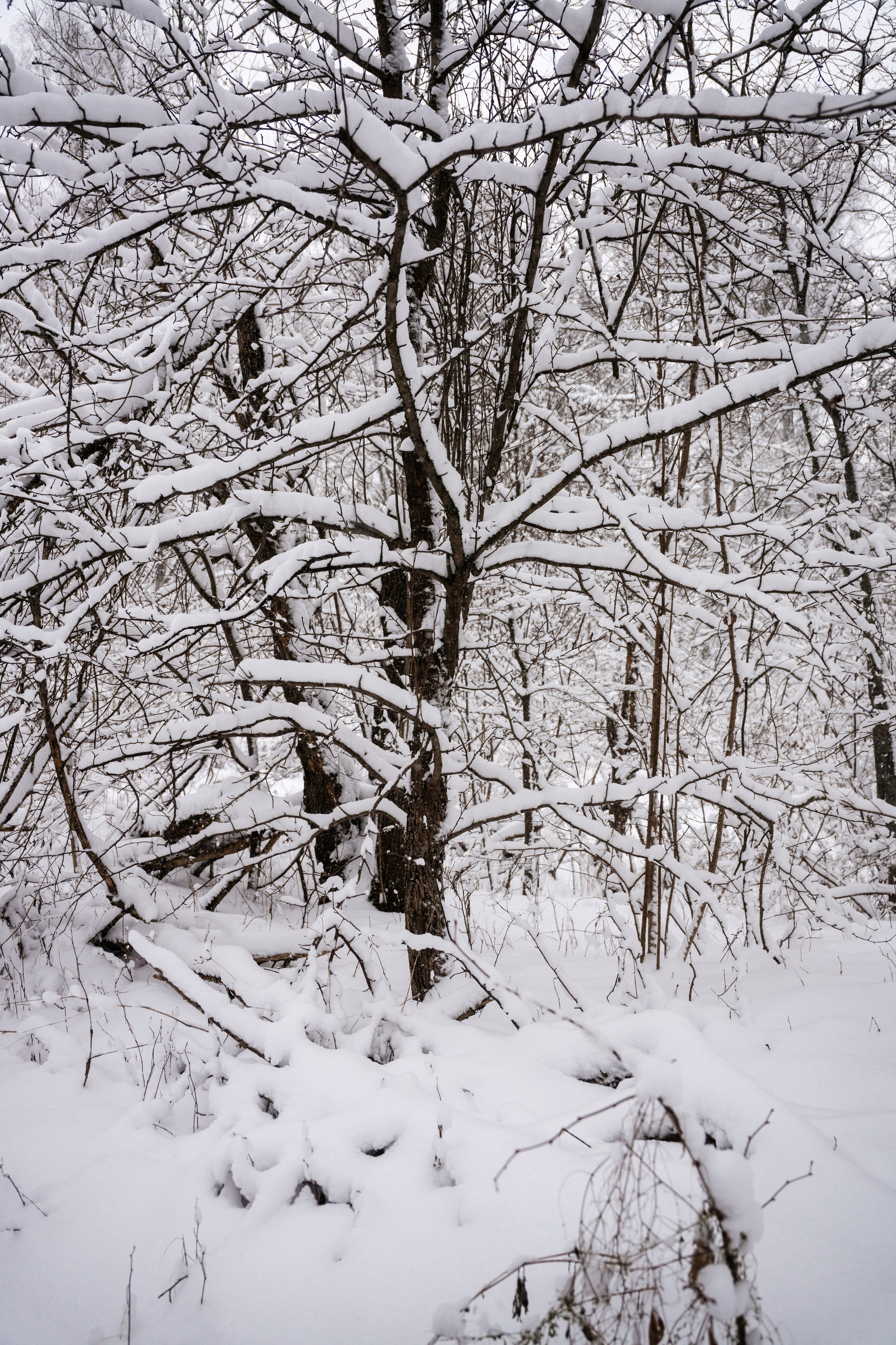 Поездка к р. Песочня и деревне Раевское. Vlad Trykov