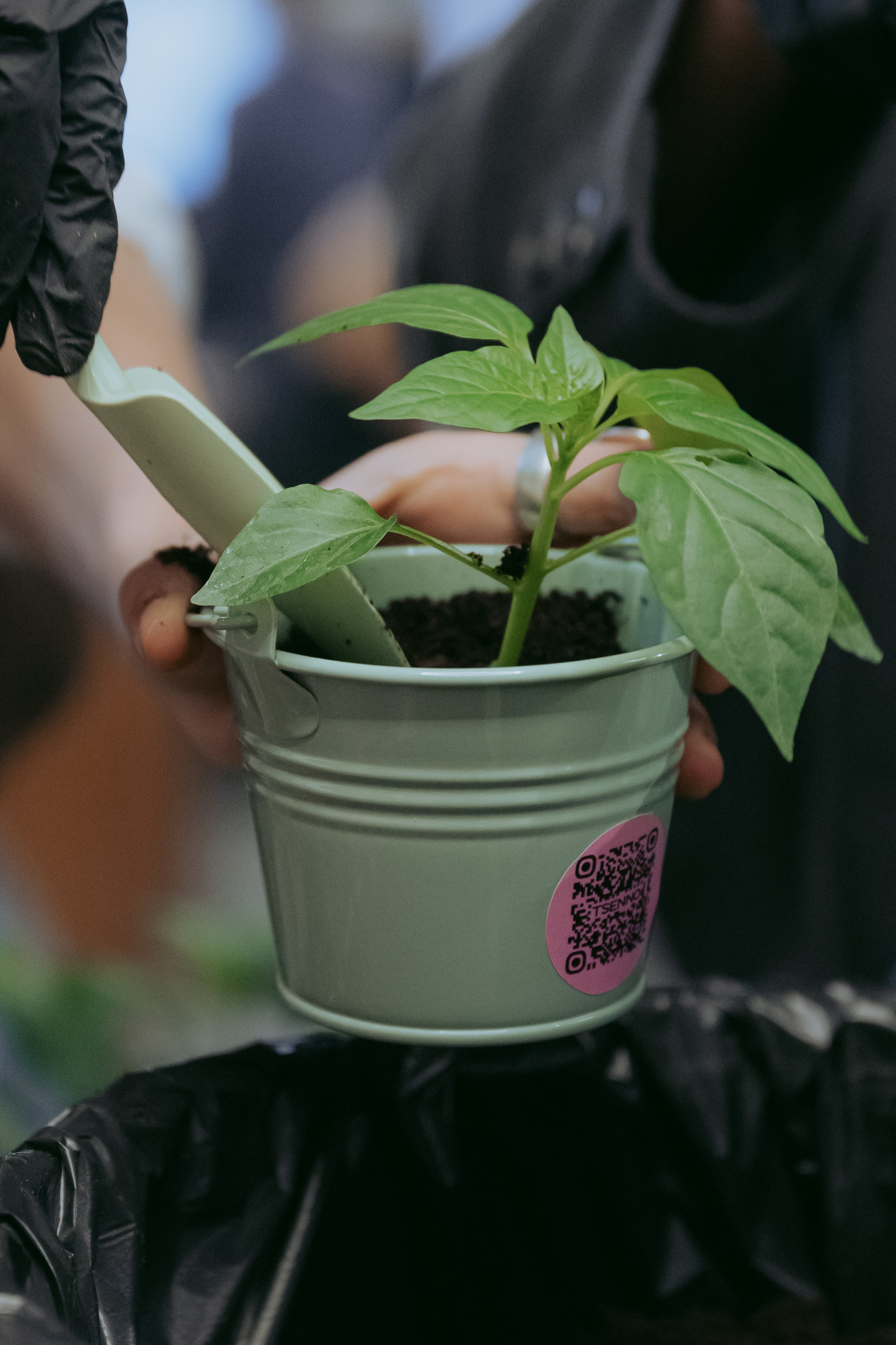 2 года бренда Tsenno. Фотограф в Москве