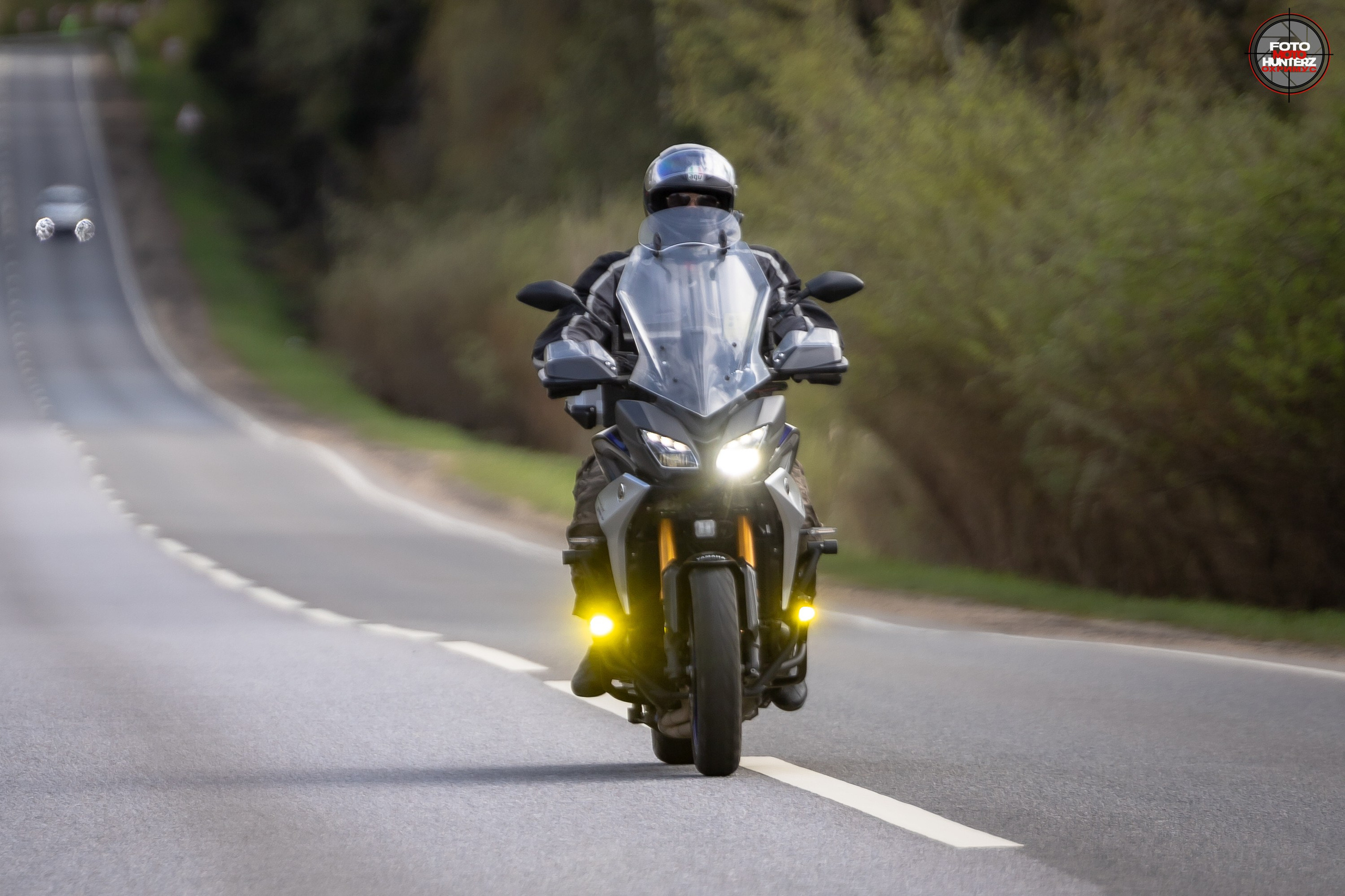 Первое Сафари в 2025 г. на Рогачевском ш. Фотограф Владимир Охрименко