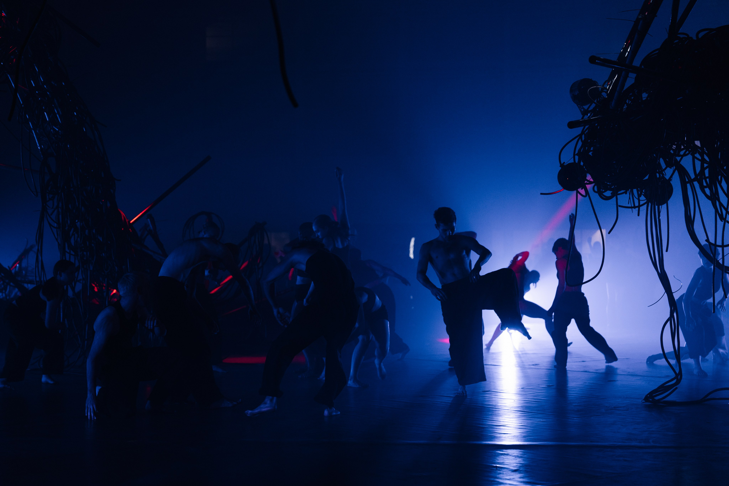 PERFORMA, The Hour of the Horse. @tomrus: Рустам Шагиморданов — фотограф