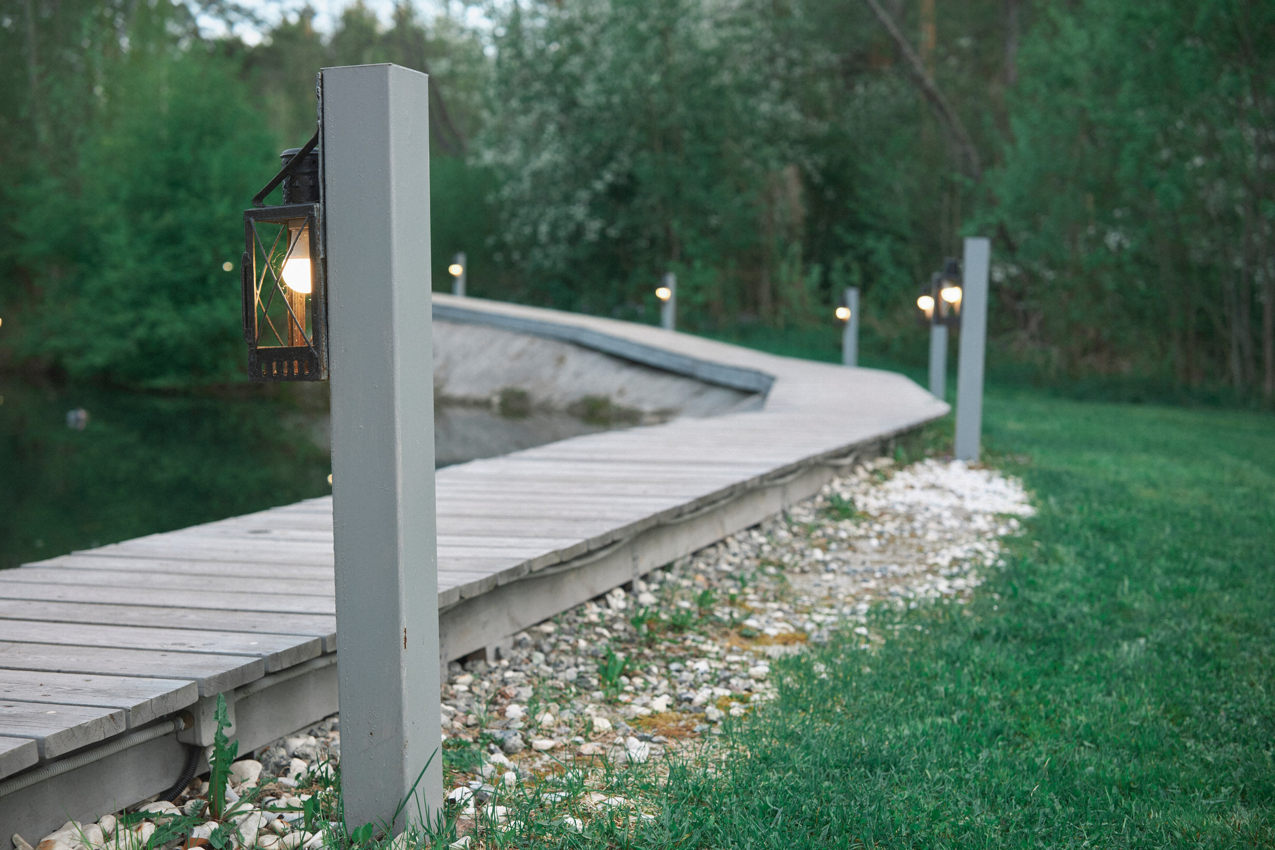 Она сказала да…. Николай Большаков