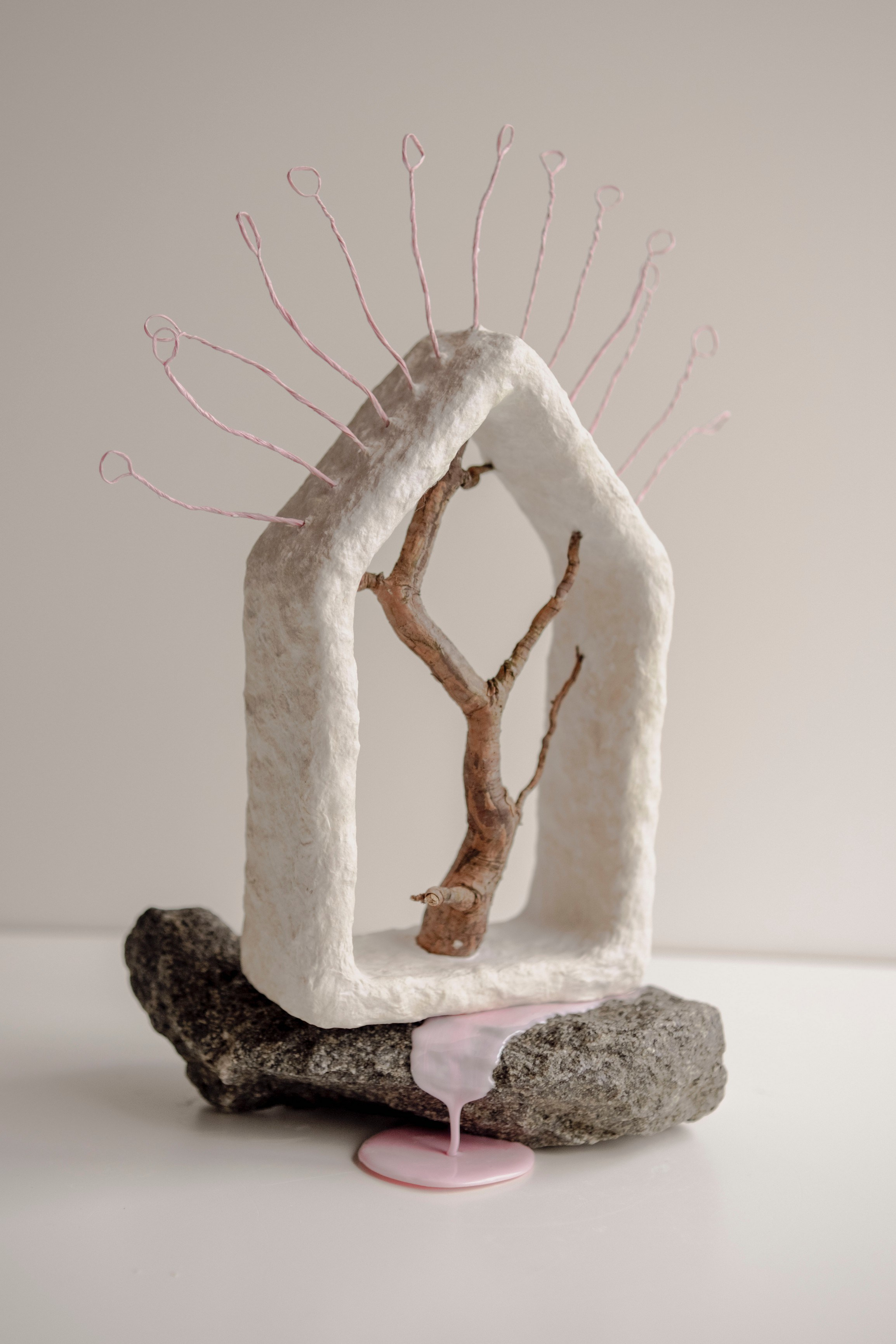Когда цветёт корень. Visual artist