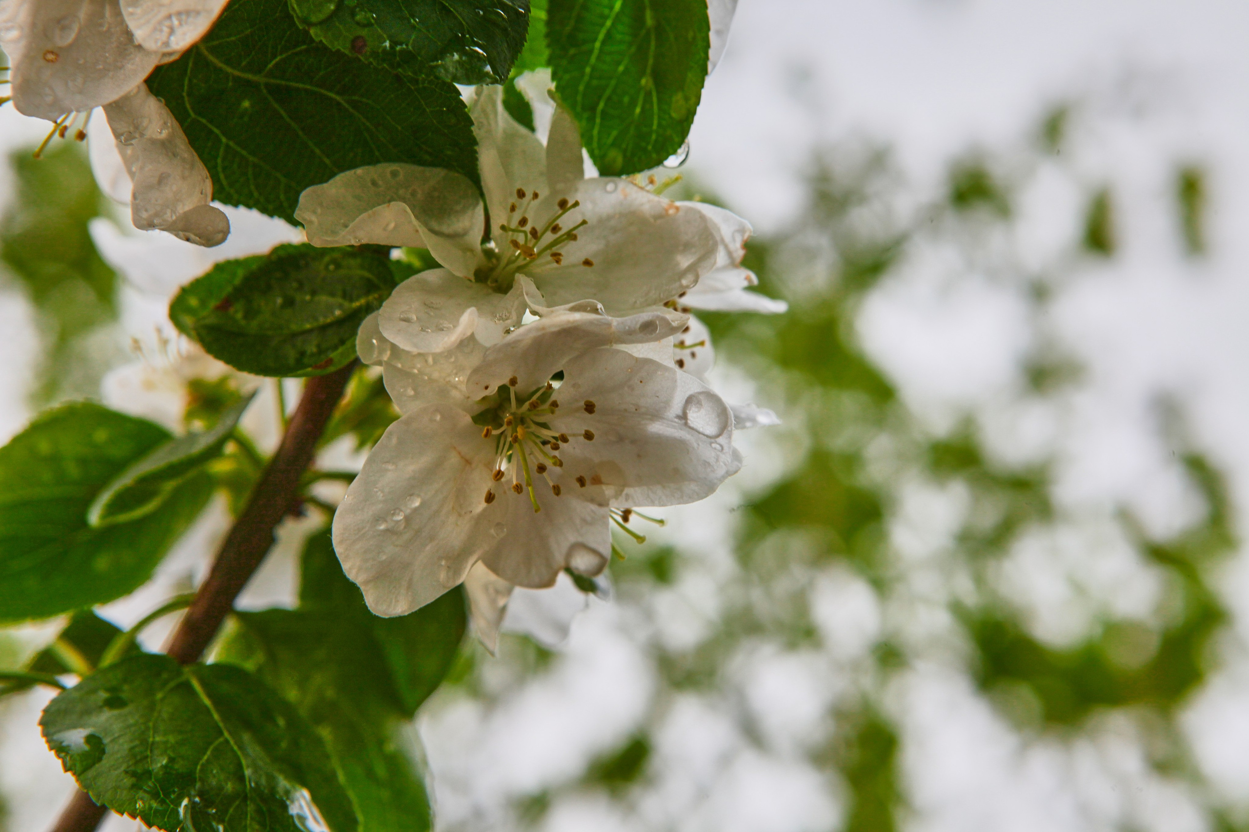 Фотографии природы