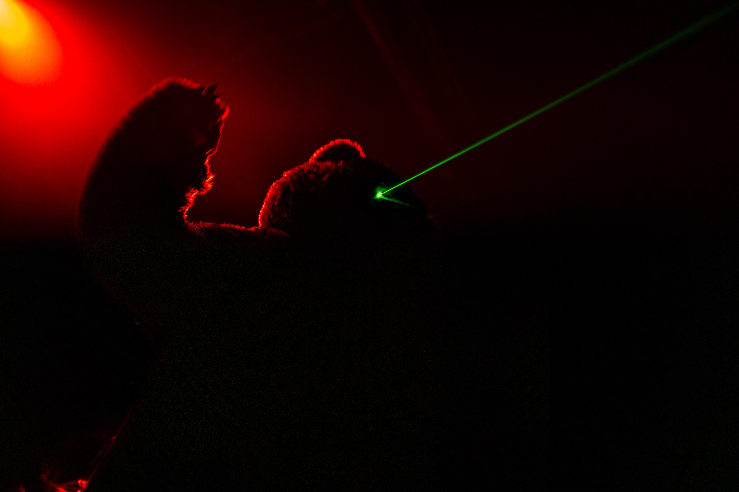 Нейромонах Феофан | 15 лет. Репортажный фотограф Екатеринбург | Яркий, качественный репортаж | Концерты, клубы, репортаж, праздники, корпоративы