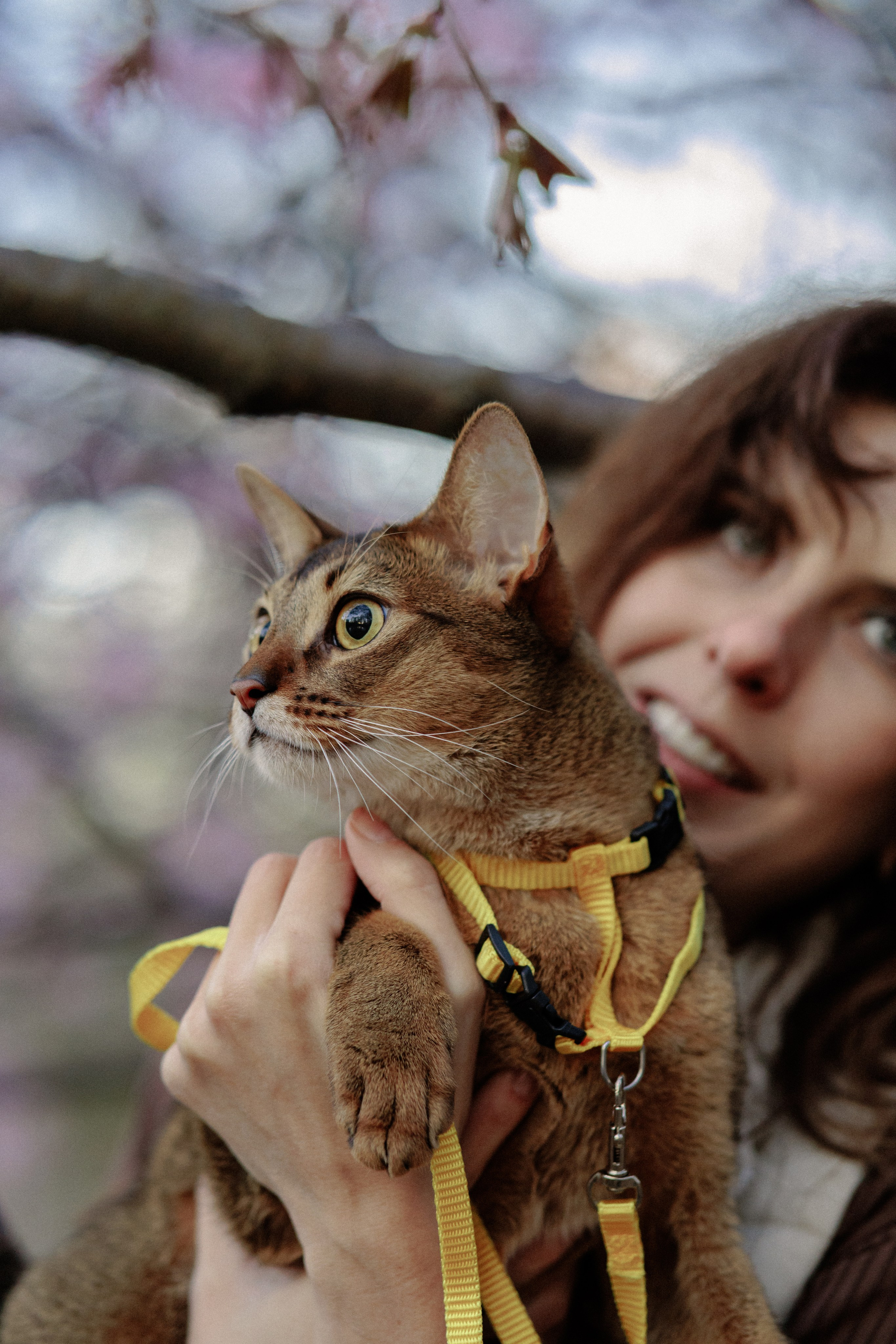 Екатерина и Персик. Фотограф в Санкт-Петербурге Алёна Губинская