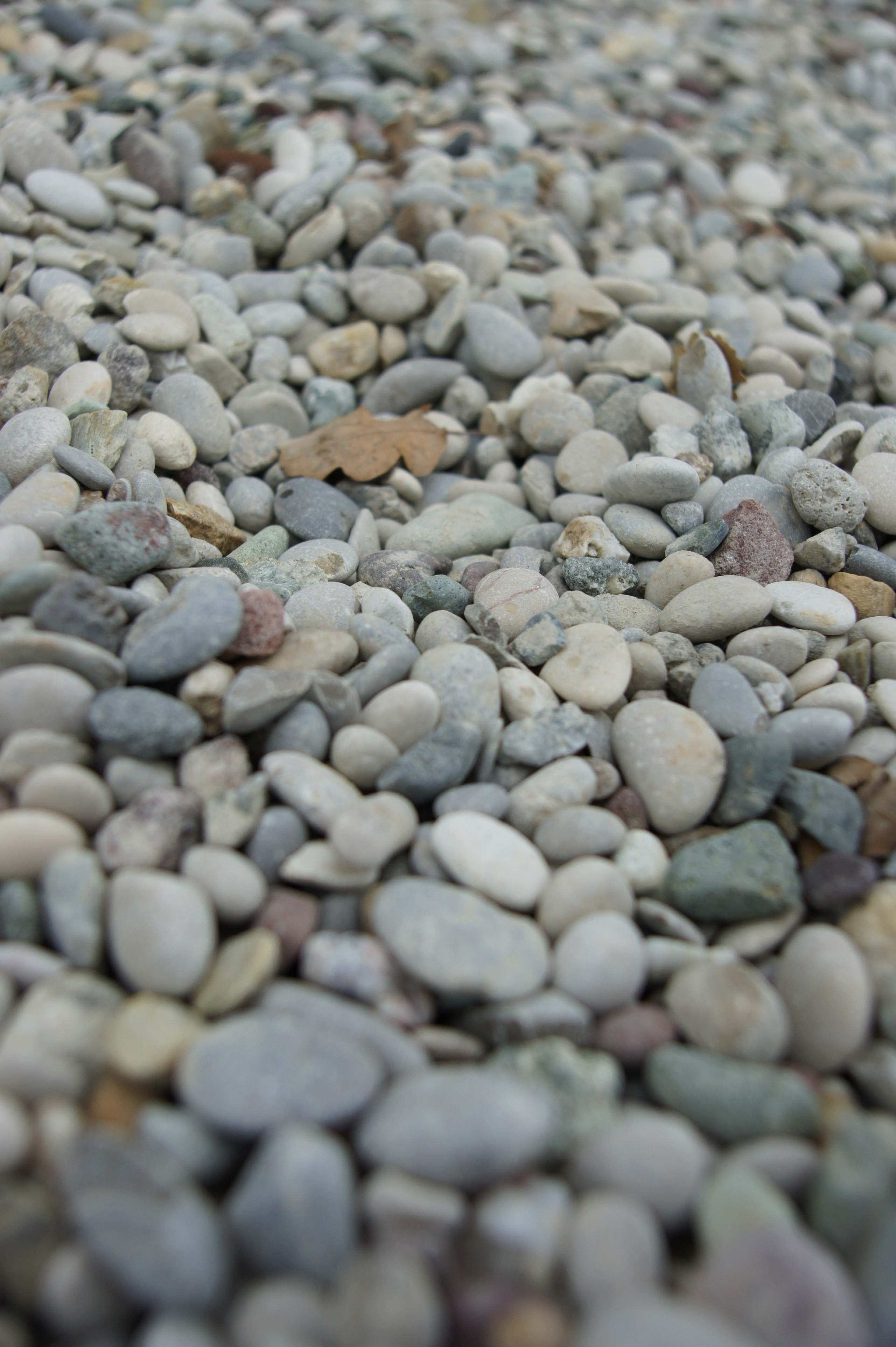 Хорватия. Главная