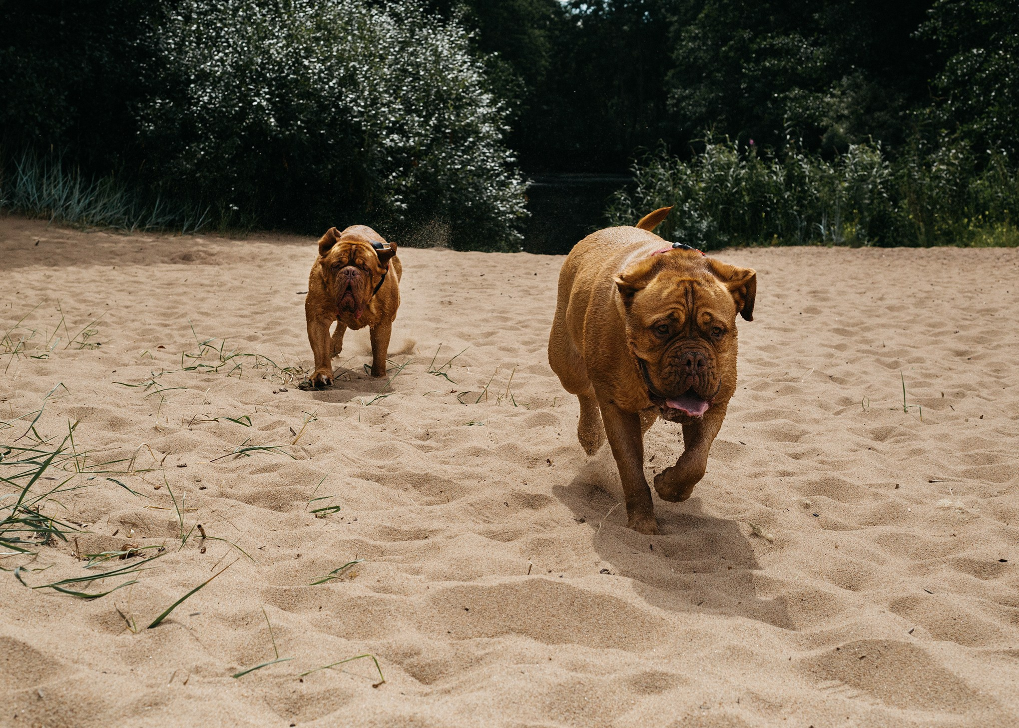 Ксюша, Соня и Дуся. Семейный и портретный фотограф в Санкт-Петербурге