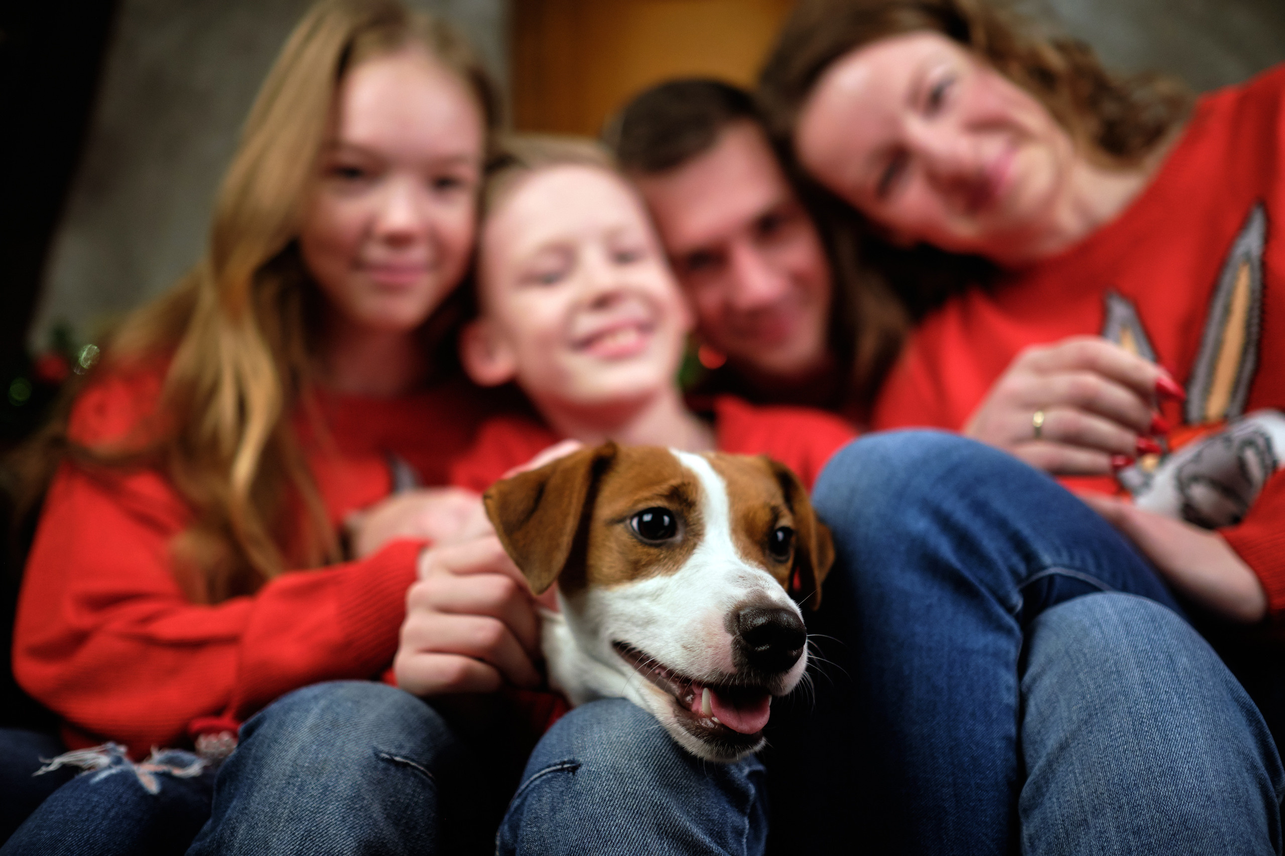 С собакой. Свадебный и семейный фотограф Москва, Звенигород, Одинцово, Можайск,