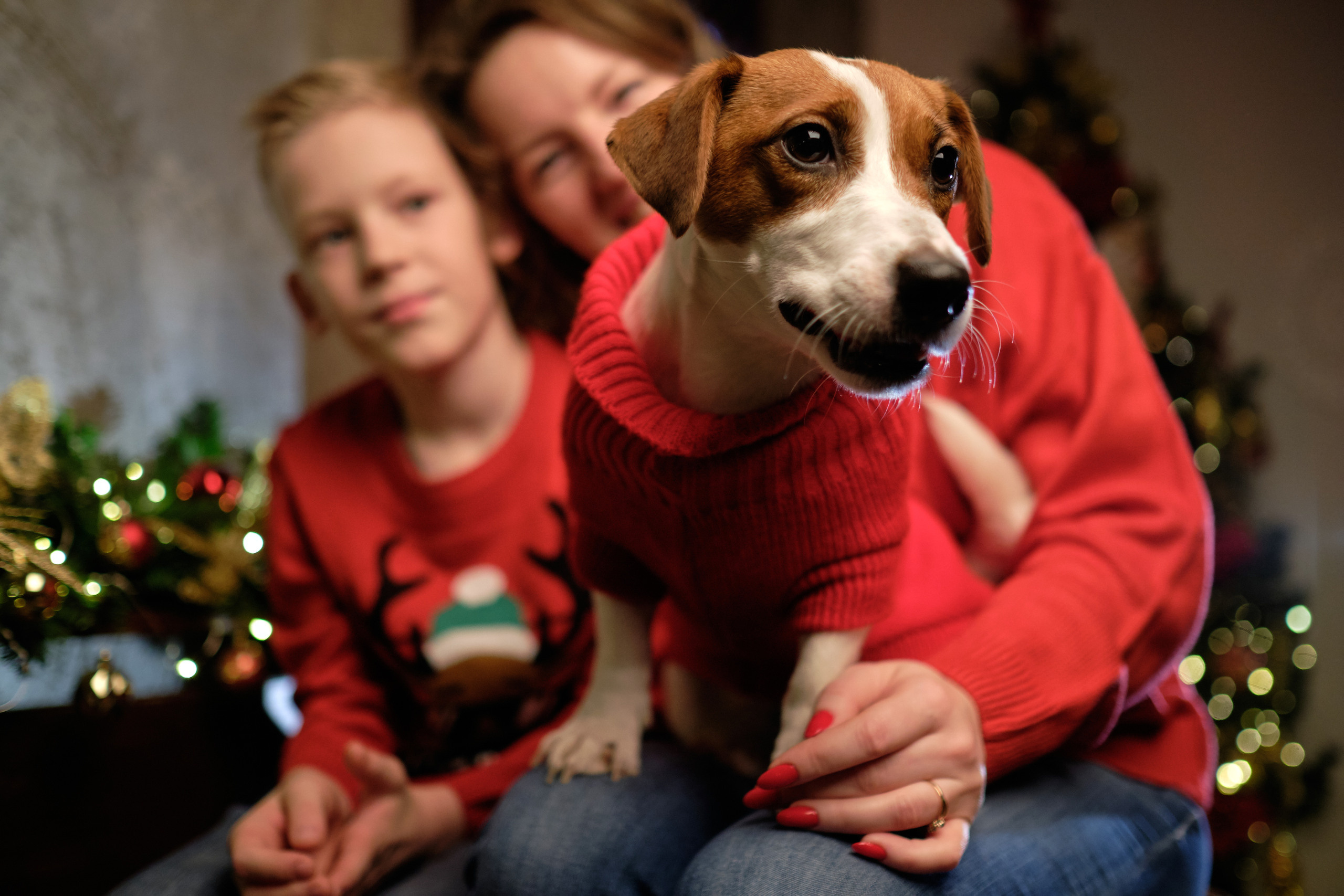 С собакой. Свадебный и семейный фотограф Москва, Звенигород, Одинцово, Можайск,