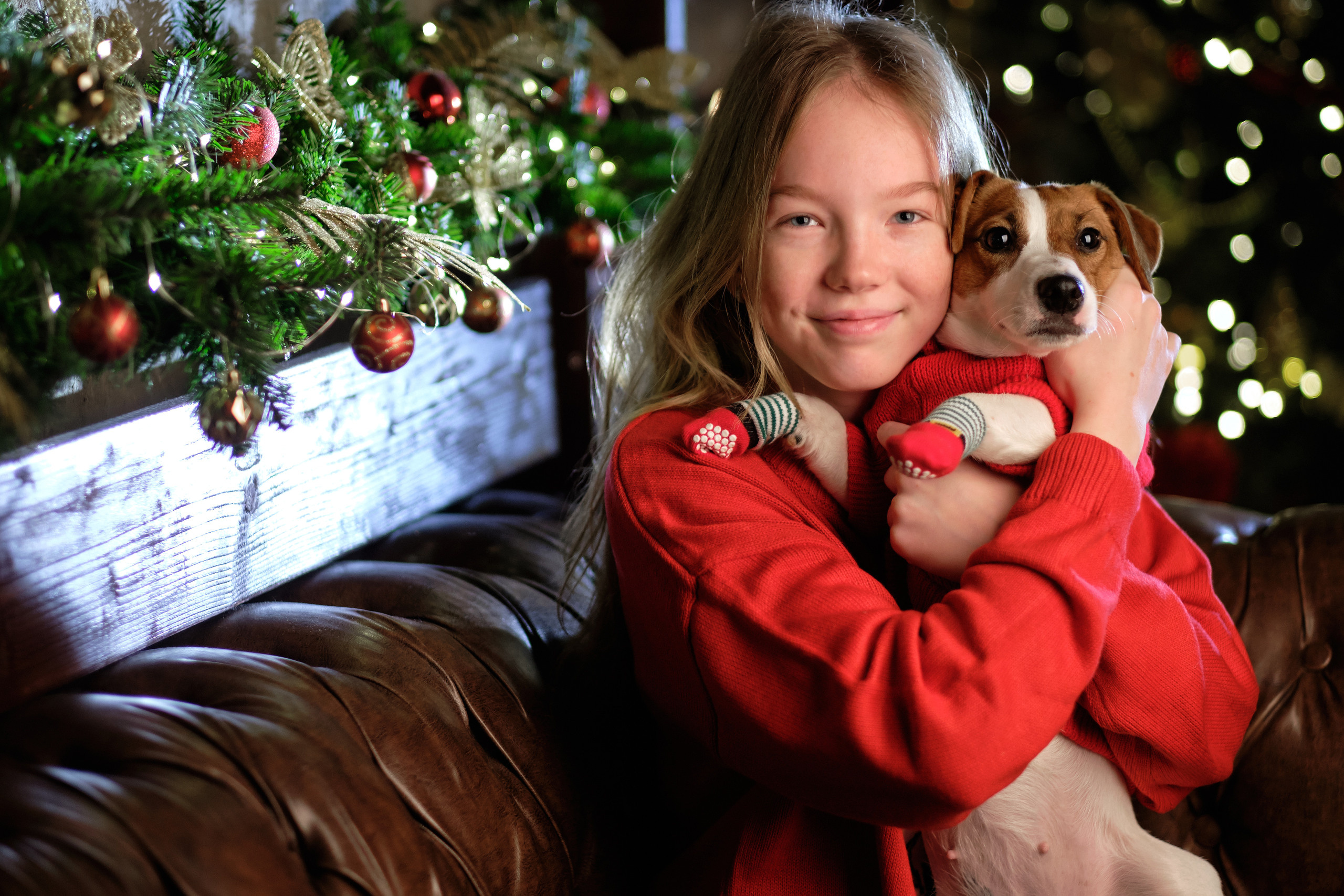 С собакой. Свадебный и семейный фотограф Москва, Звенигород, Одинцово, Можайск,