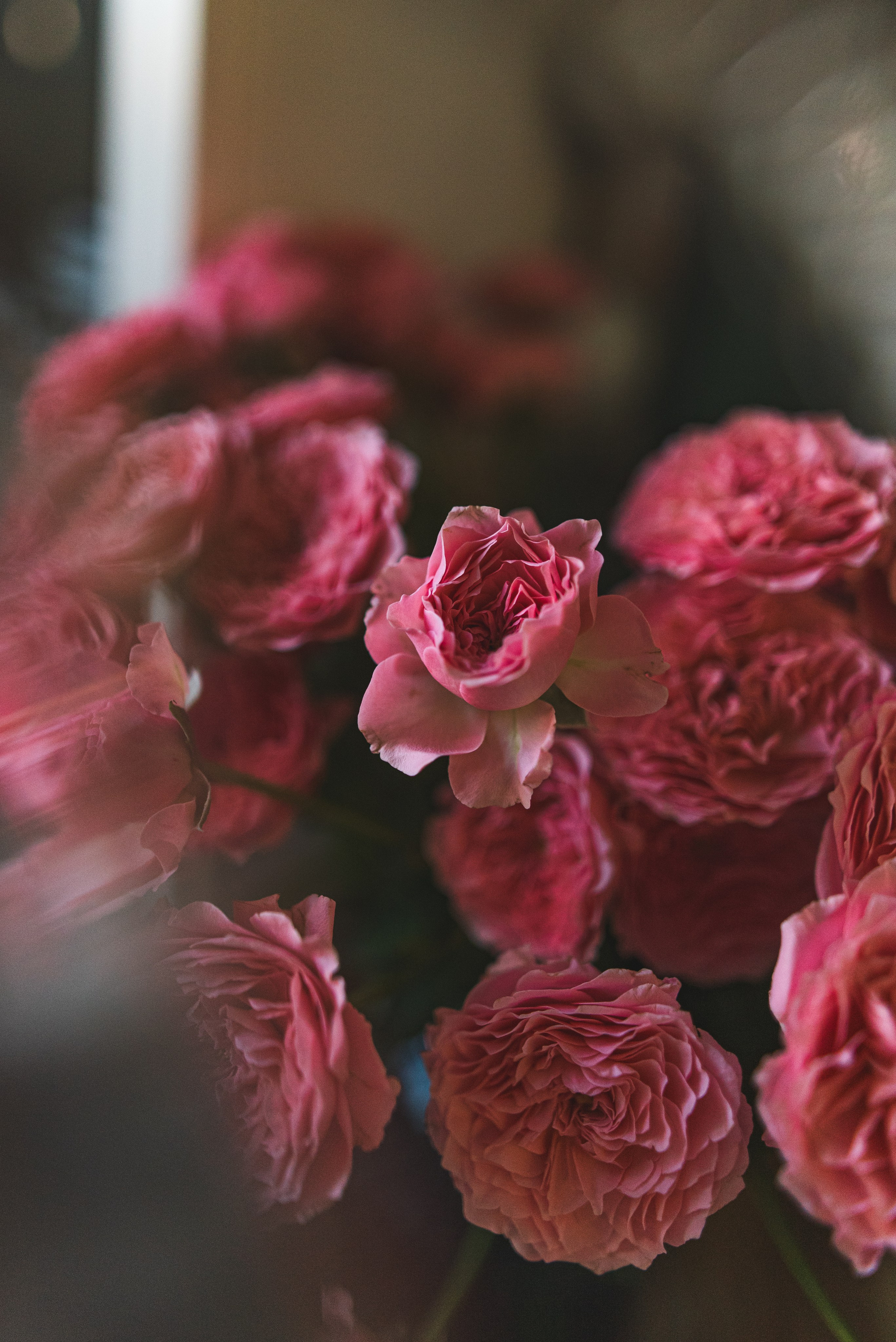 Александра. Семейный и детский фотограф в Санкт-Петербурге Татьяна Дмитренко