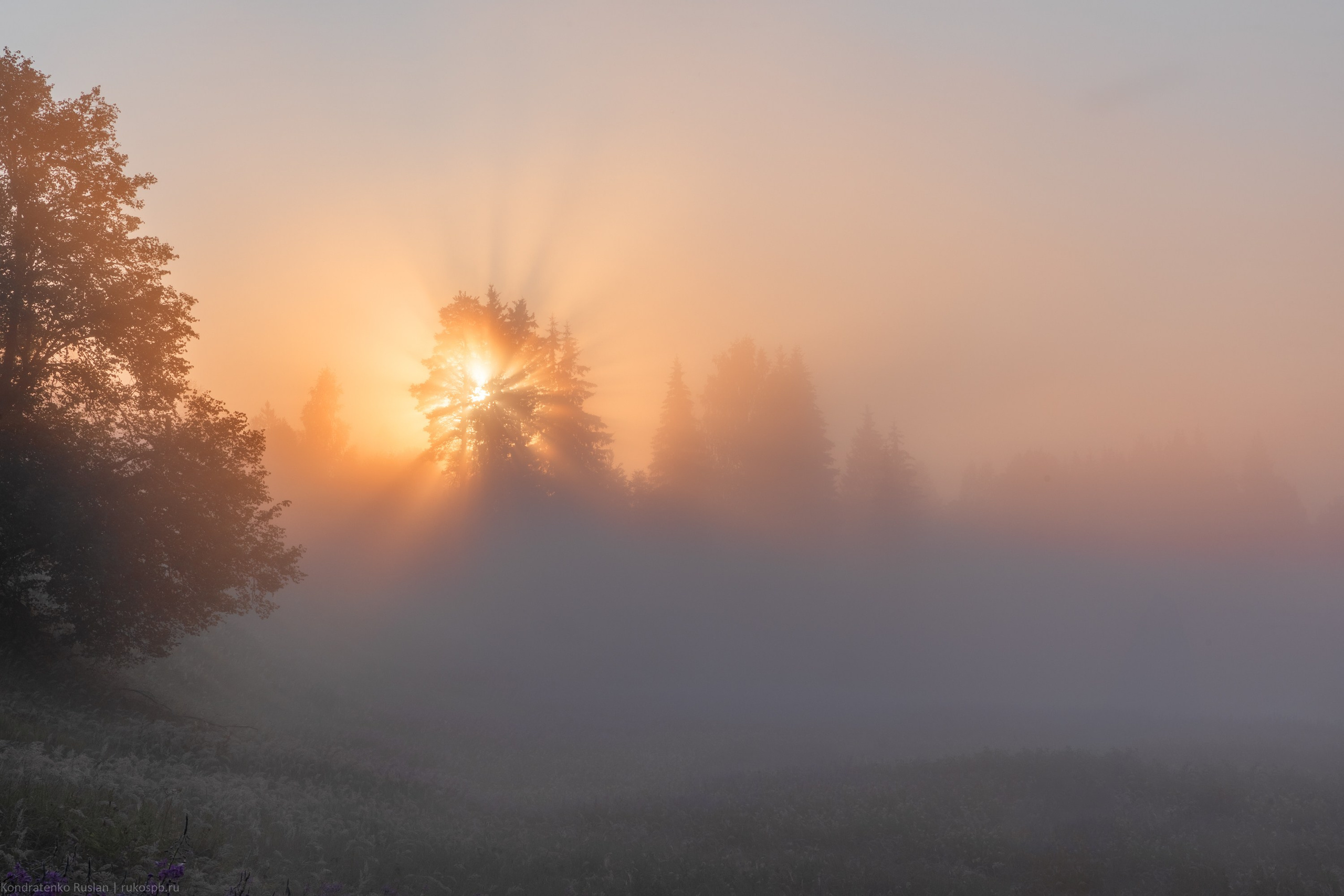 Ленинградская область. Архитектурный и пейзажный фотограф Кондратенко Руслан, Санкт-Петербург