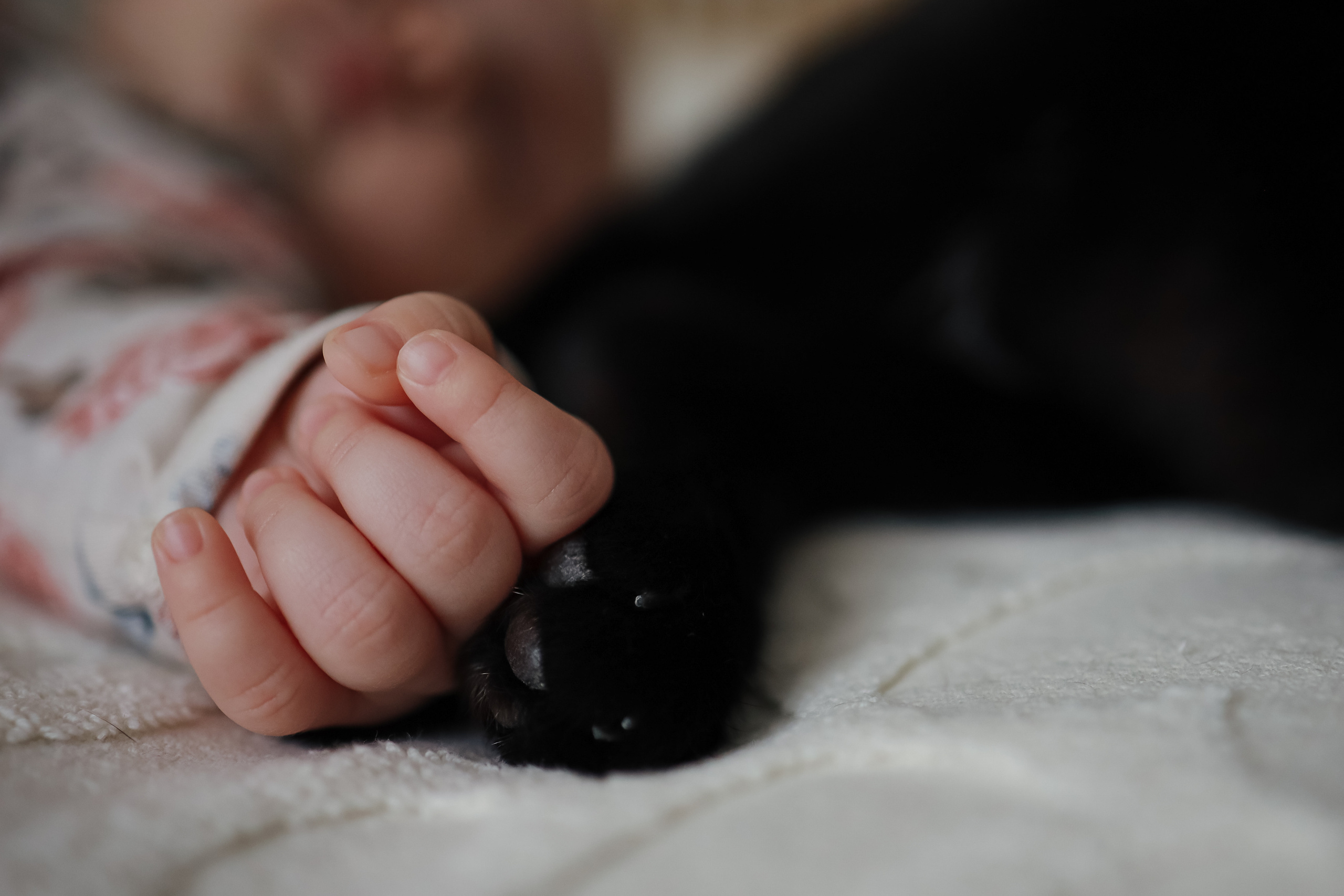 младенец ручка крупно