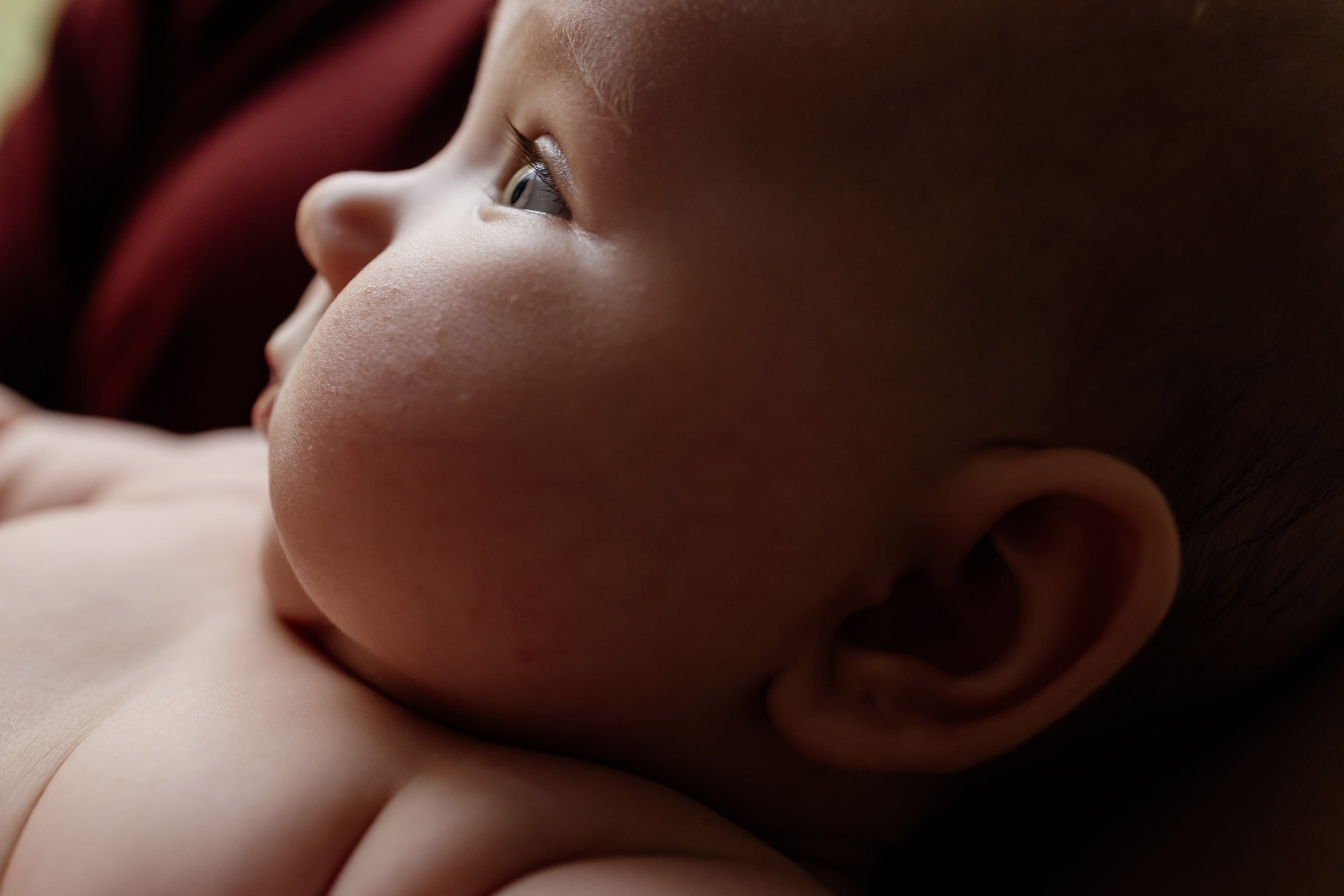 крупный портрет младенец макро