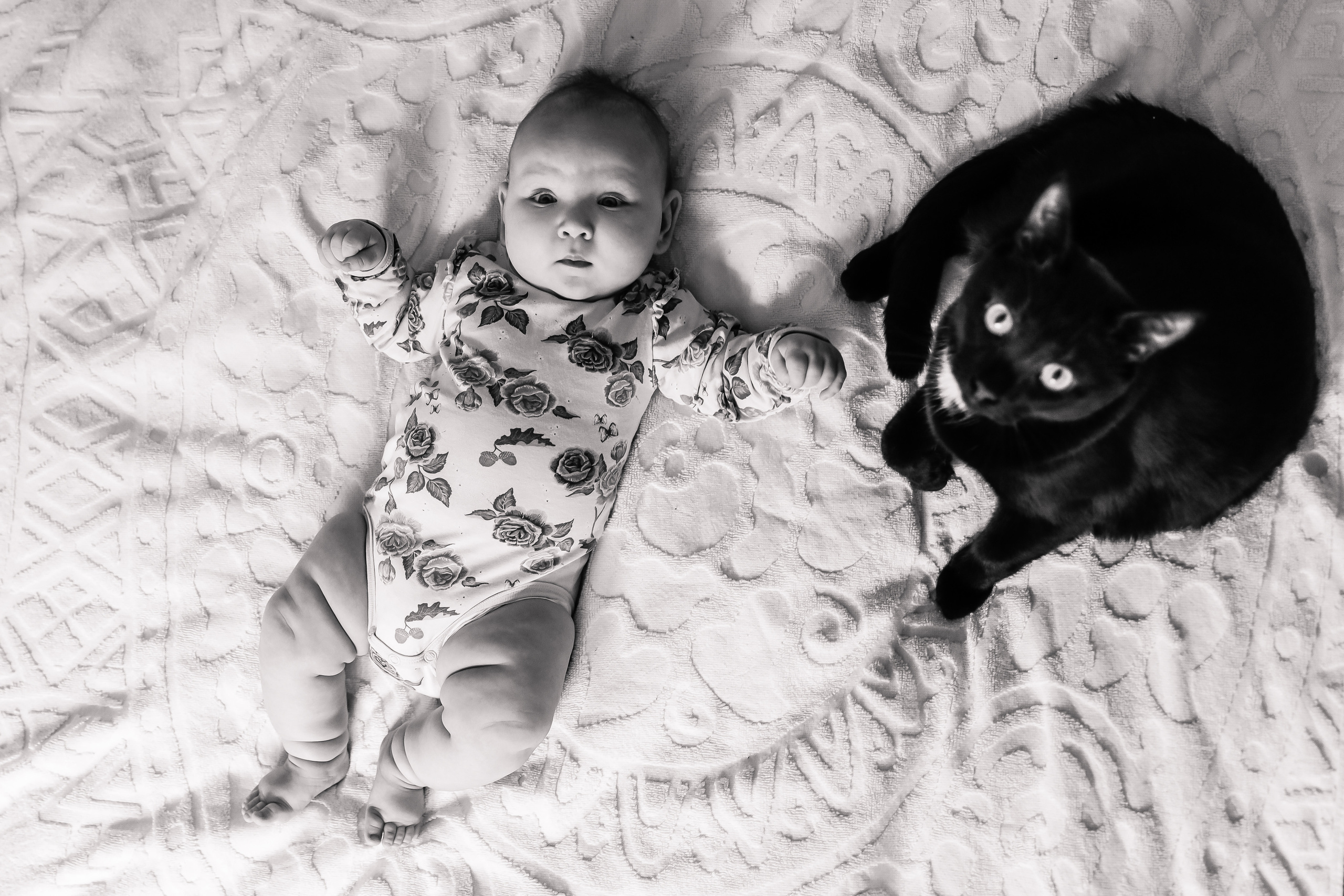 Анна, Леша и Лиля. Семейный фотограф в Москве Ольга Комарова