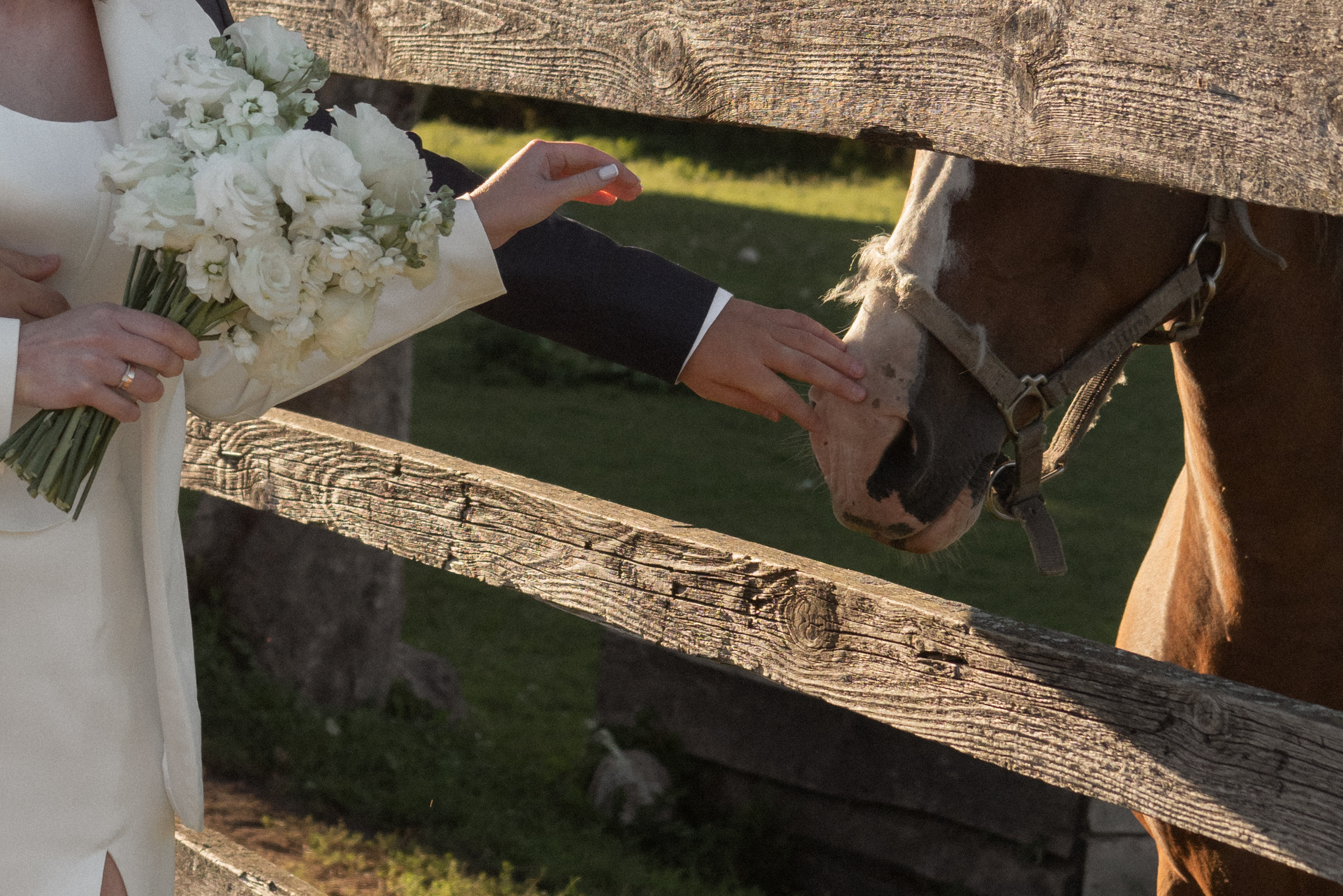 Маша и Андрей. Фотограф в Калининграде Дмитрий Мишин