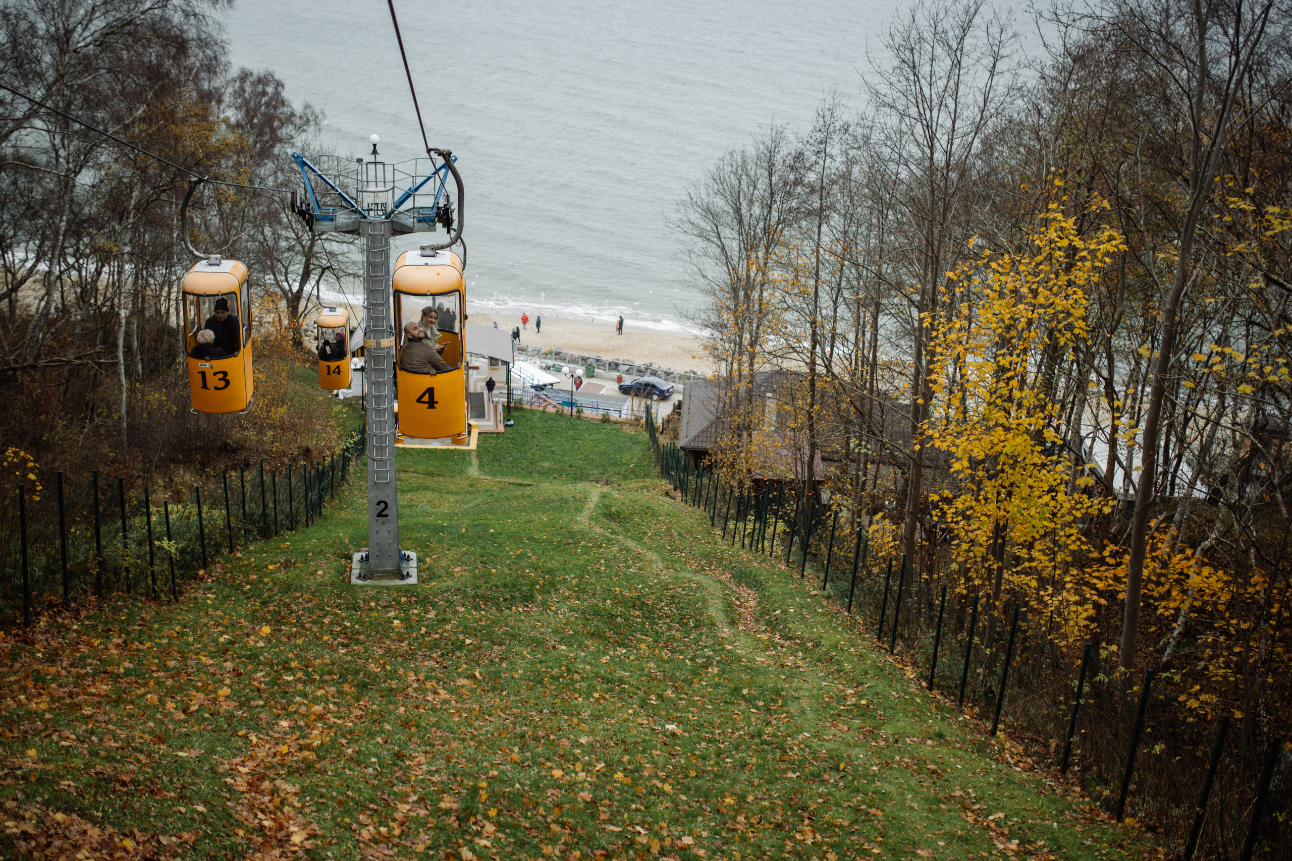 Чайки любят курочку. Фотограф в Калининграде Дмитрий Мишин