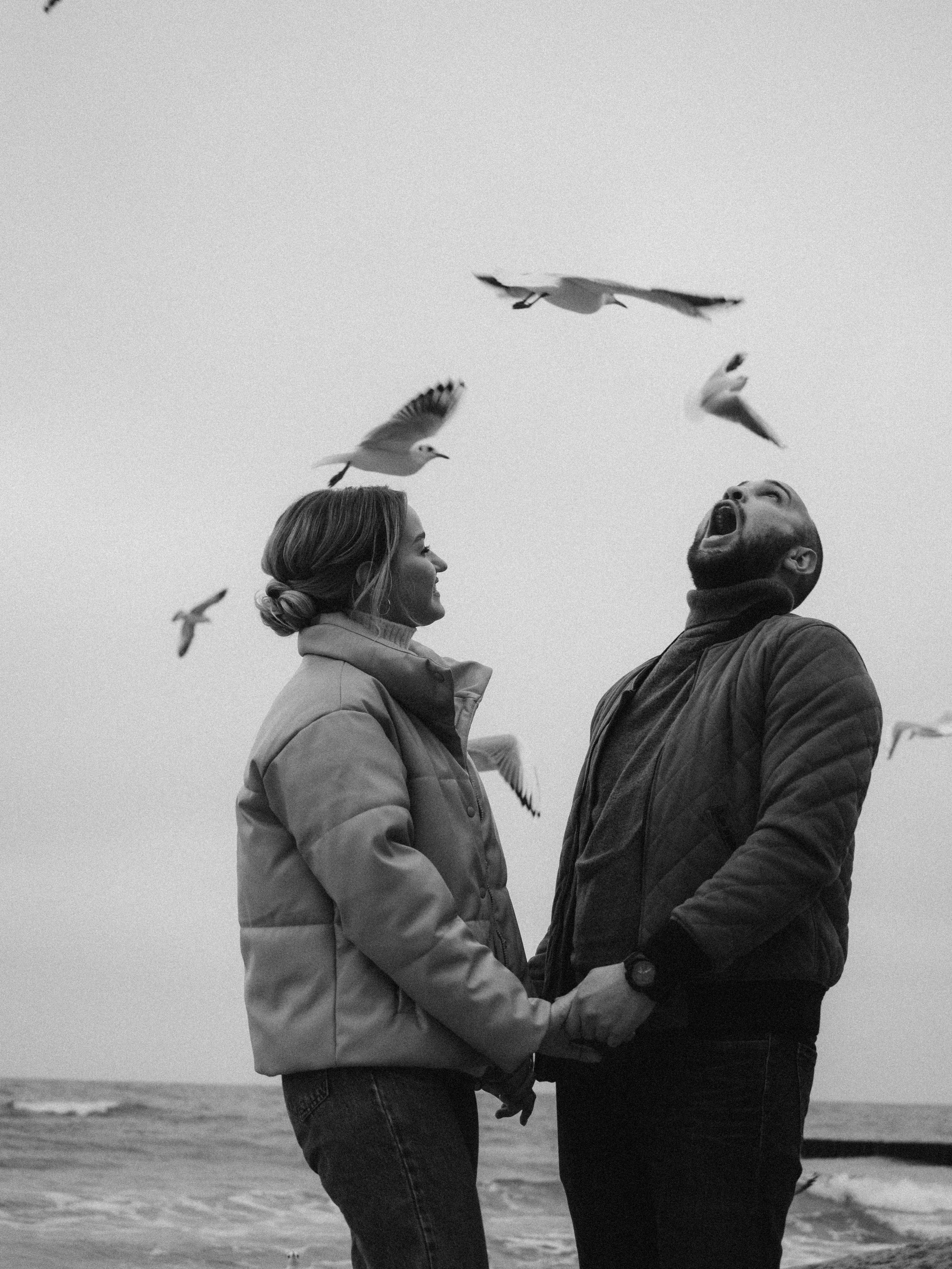 Чайки любят курочку. Фотограф в Калининграде Дмитрий Мишин