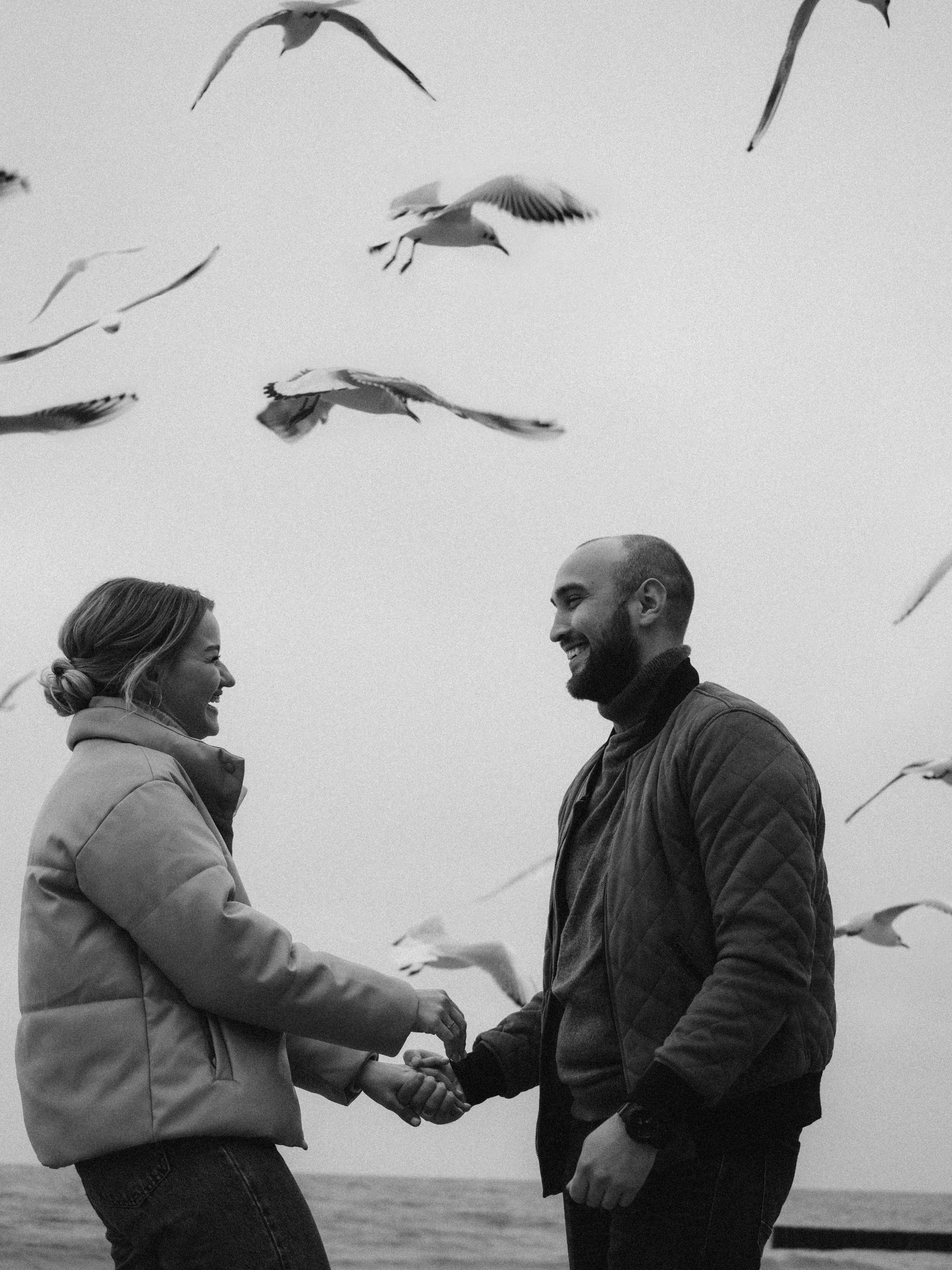 Чайки любят курочку. Фотограф в Калининграде Дмитрий Мишин