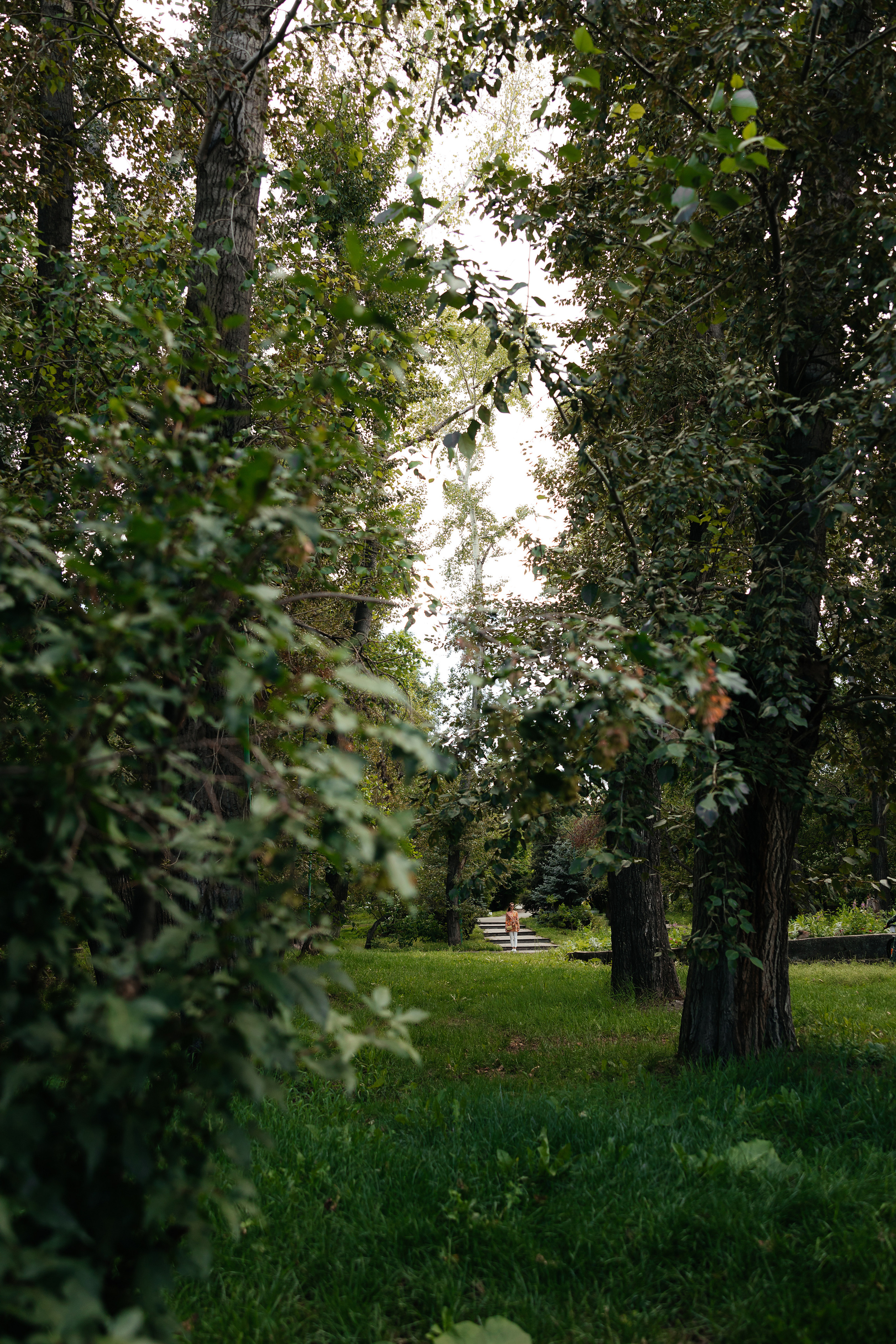 Алла и Саша. Свадебный и семейный фотограф Анна Печенкина