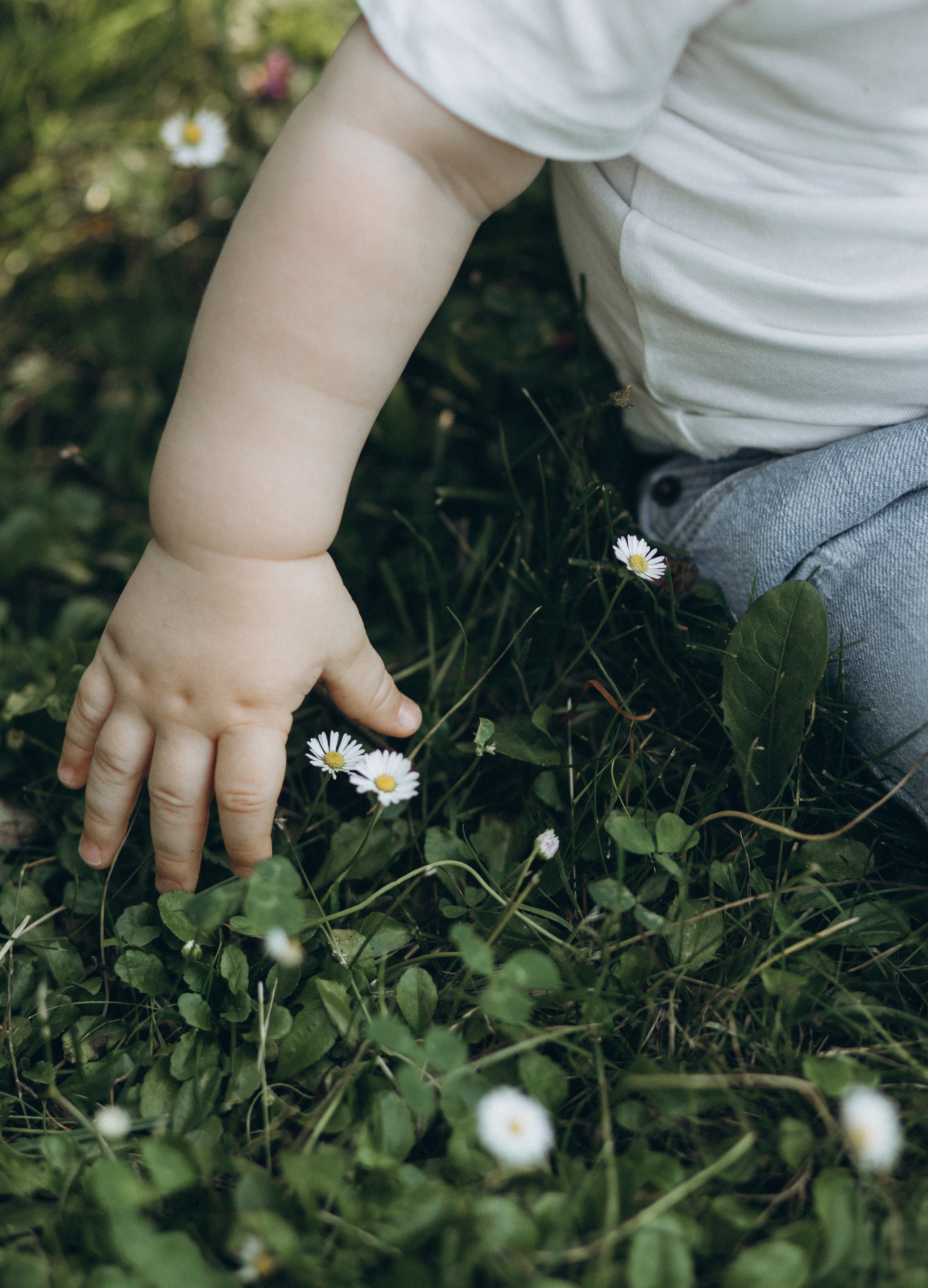 Семейная съемка. Свадебный фотограф Москве Катя Абдурахманова и Арсен Абдурахманов