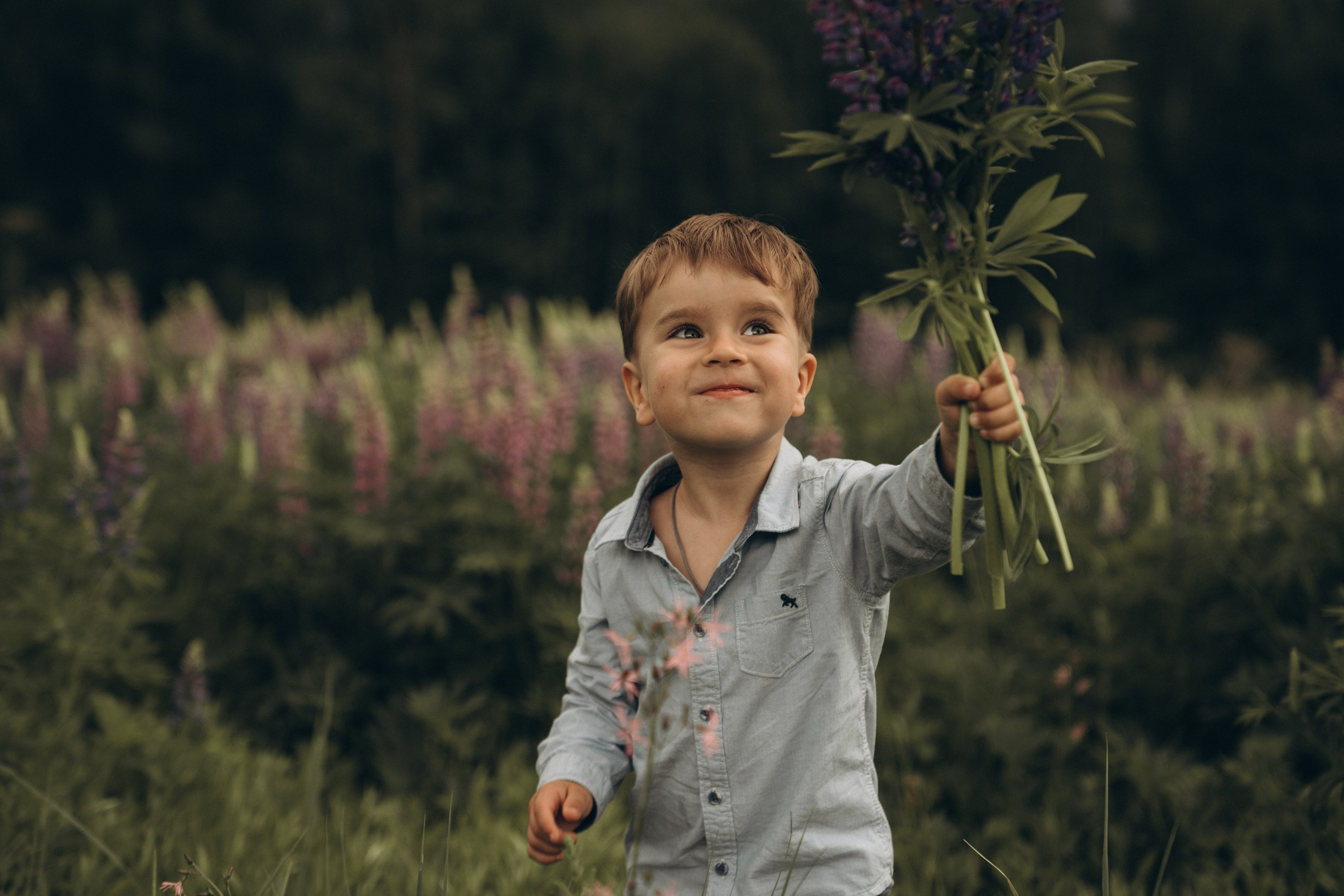 Люпиновая пора. Семейный и детский фотограф Москва Дарья Бугра